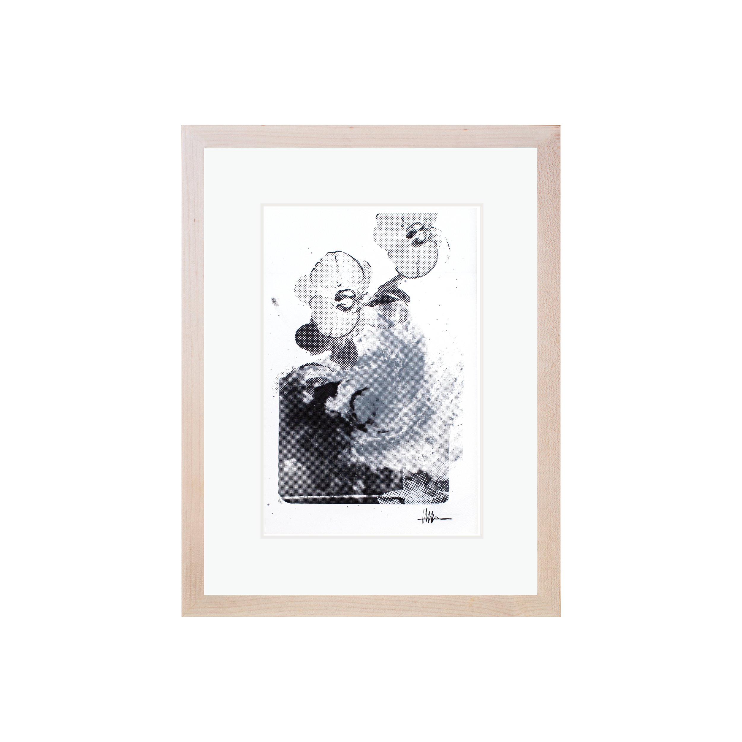 Framed floral art maple frame halftoned X-ray cecum M83 flowers effloresced gallery swirling celestial botanical vibrant