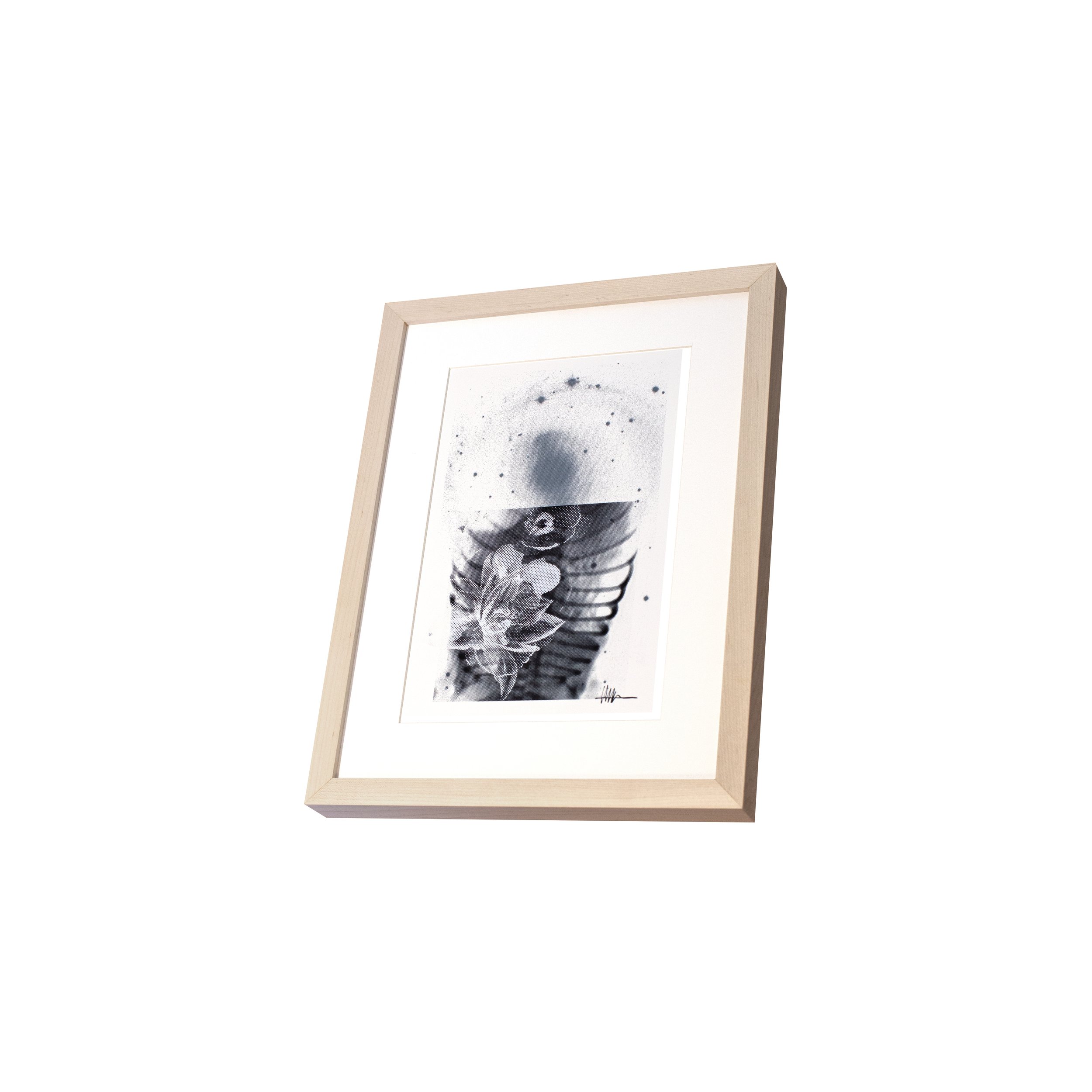Perspective framed floral art maple frame halftoned heart X-ray NGC 2217 flowers effloresced gallery collapsed galactic botanical tight