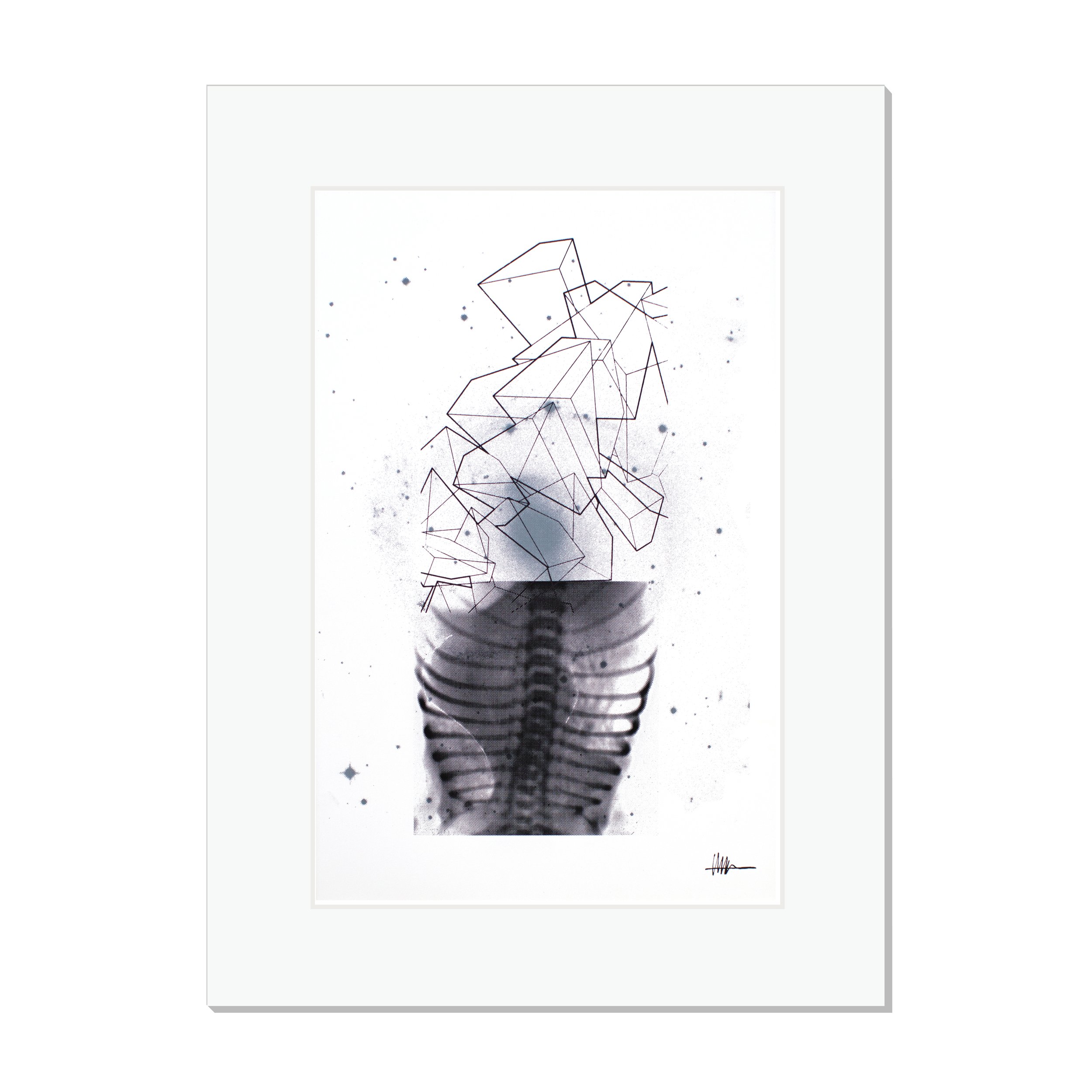 Matted cosmic print halftoned heart X-ray NGC 2217 cubes crystallized gallery collapsed galactic anatomical compressed