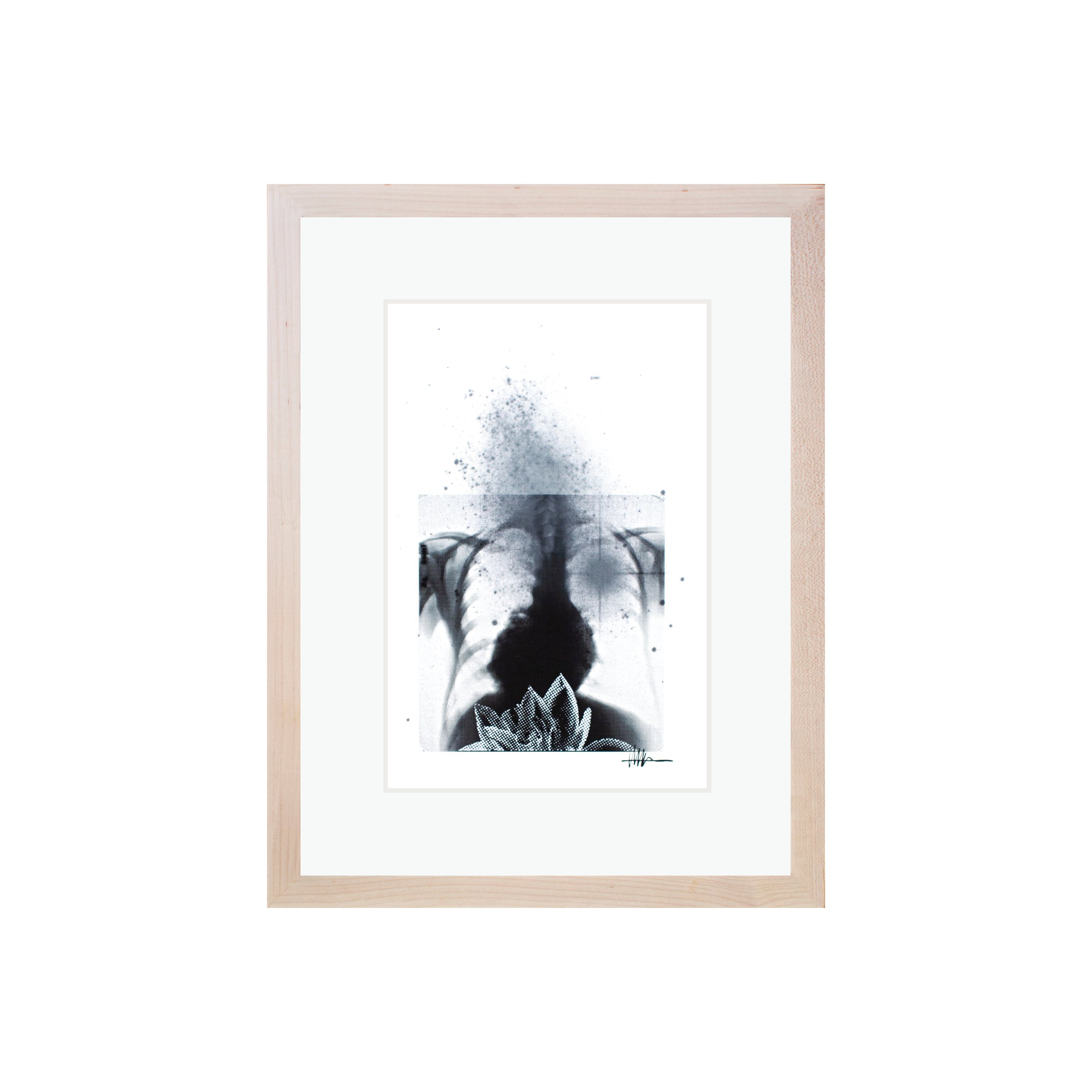 Framed floral art maple frame halftoned heart X-ray IC 5152 flowers effloresced gallery disordered astral botanical fluid