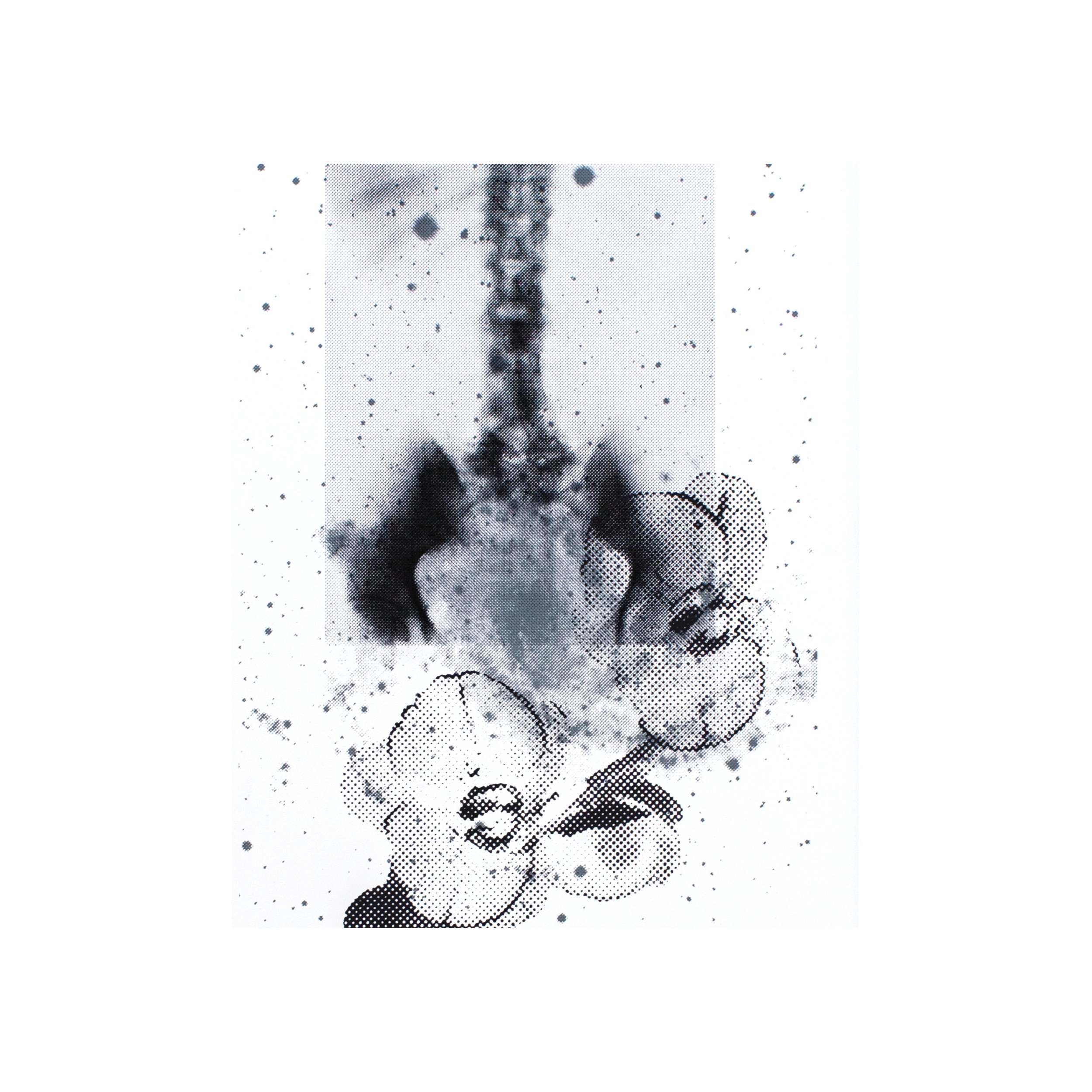 Close-up matted cosmic art print halftoned X-ray NGC 6946 flowers effloresced calcified nature