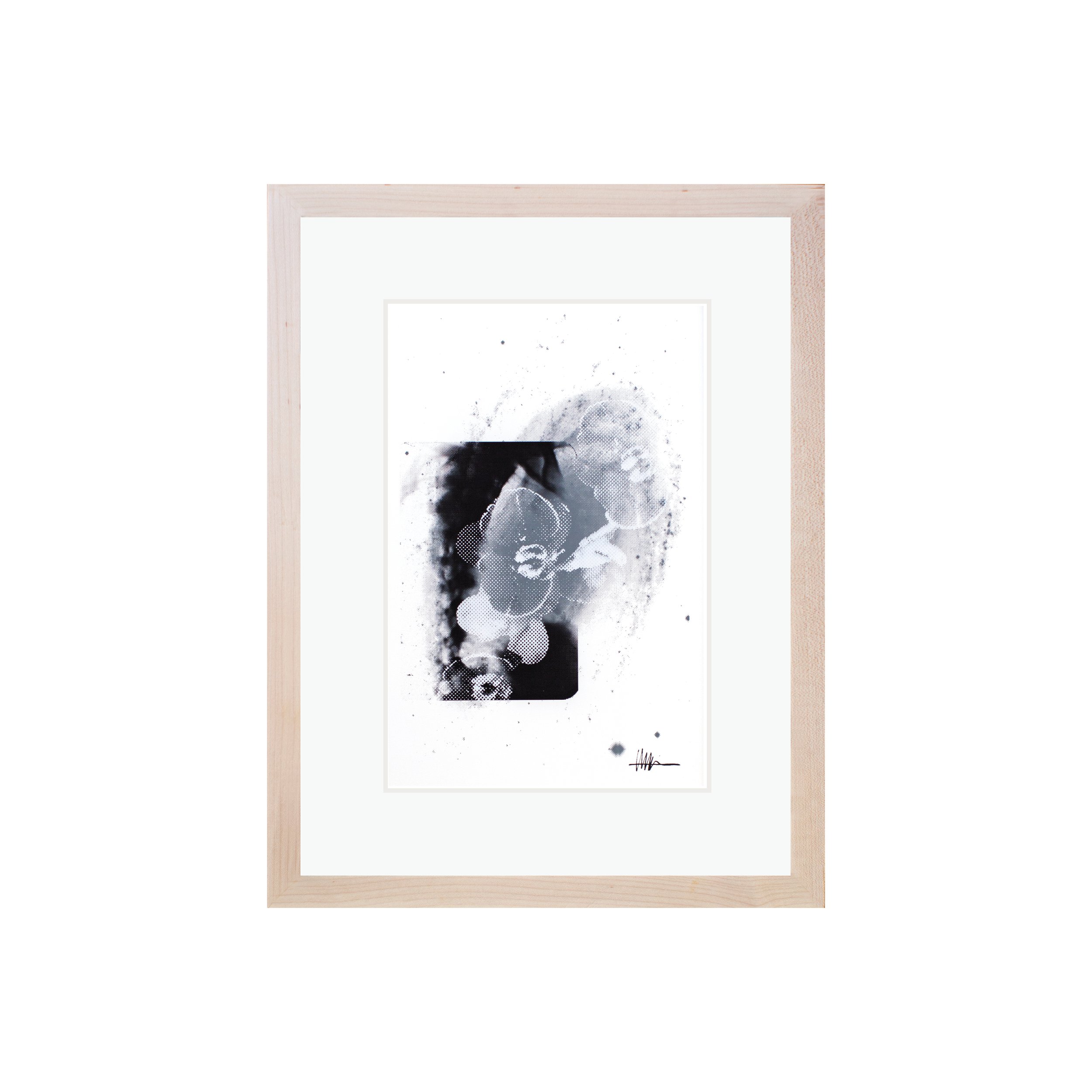 Framed floral art maple frame halftoned melanoma spine X-ray M 81 flowers effloresced gallery spinal cosmic botanical sharp