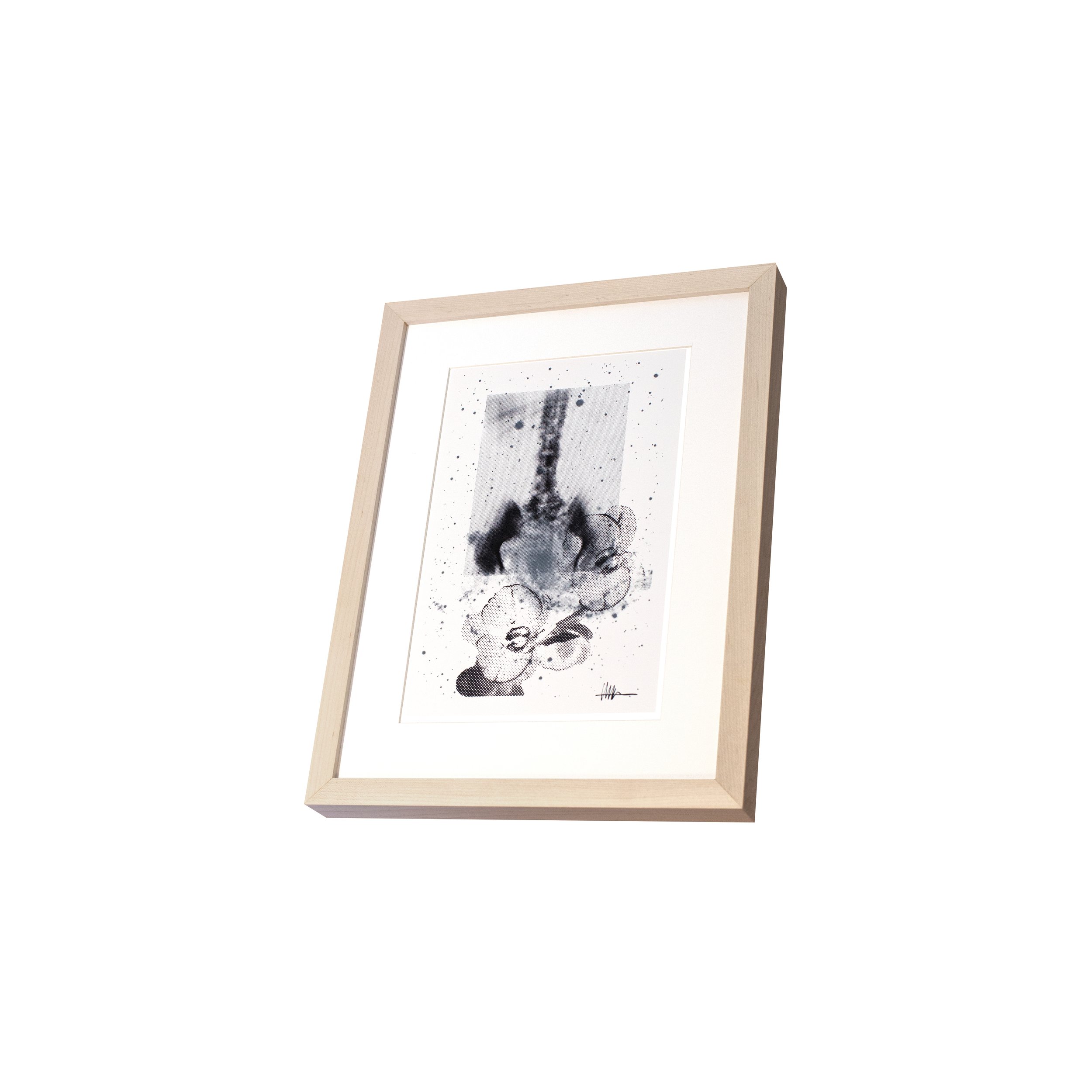 Perspective framed floral art maple frame halftoned aortic X-ray NGC 6946 flowers effloresced gallery calcified stellar botanical firm
