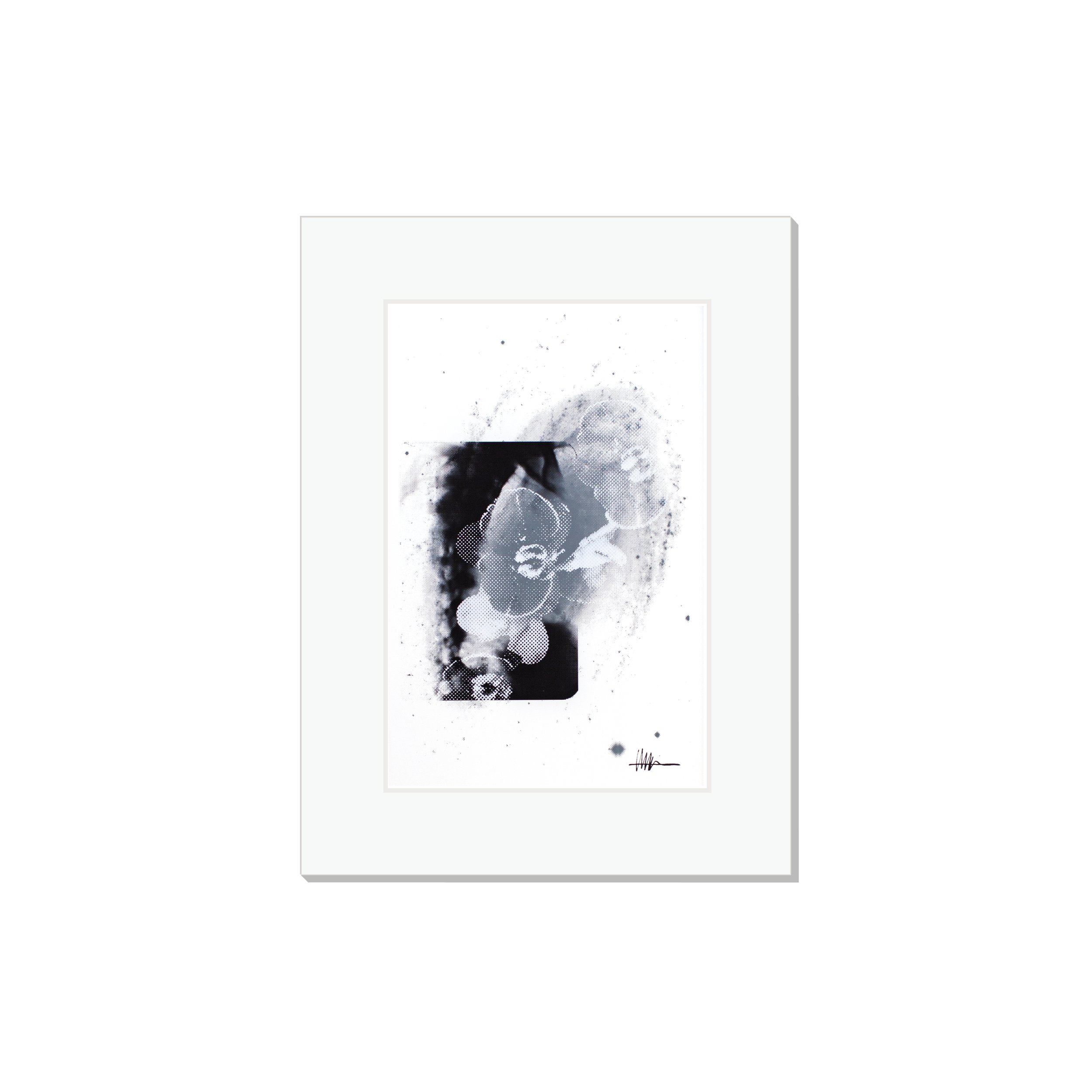 Matted cosmic art print halftoned melanoma spine X-ray M 81 flowers effloresced gallery affordable skeletal nature