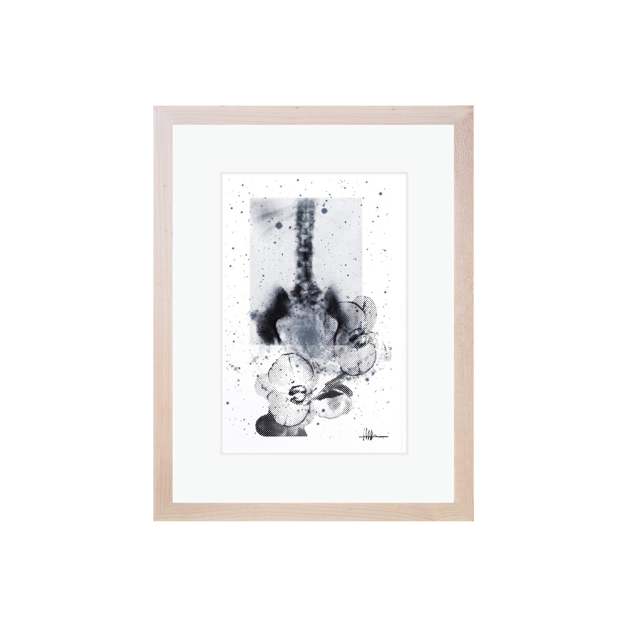 Framed floral art maple frame halftoned aortic X-ray NGC 6946 flowers effloresced gallery hardened stellar botanical rigid