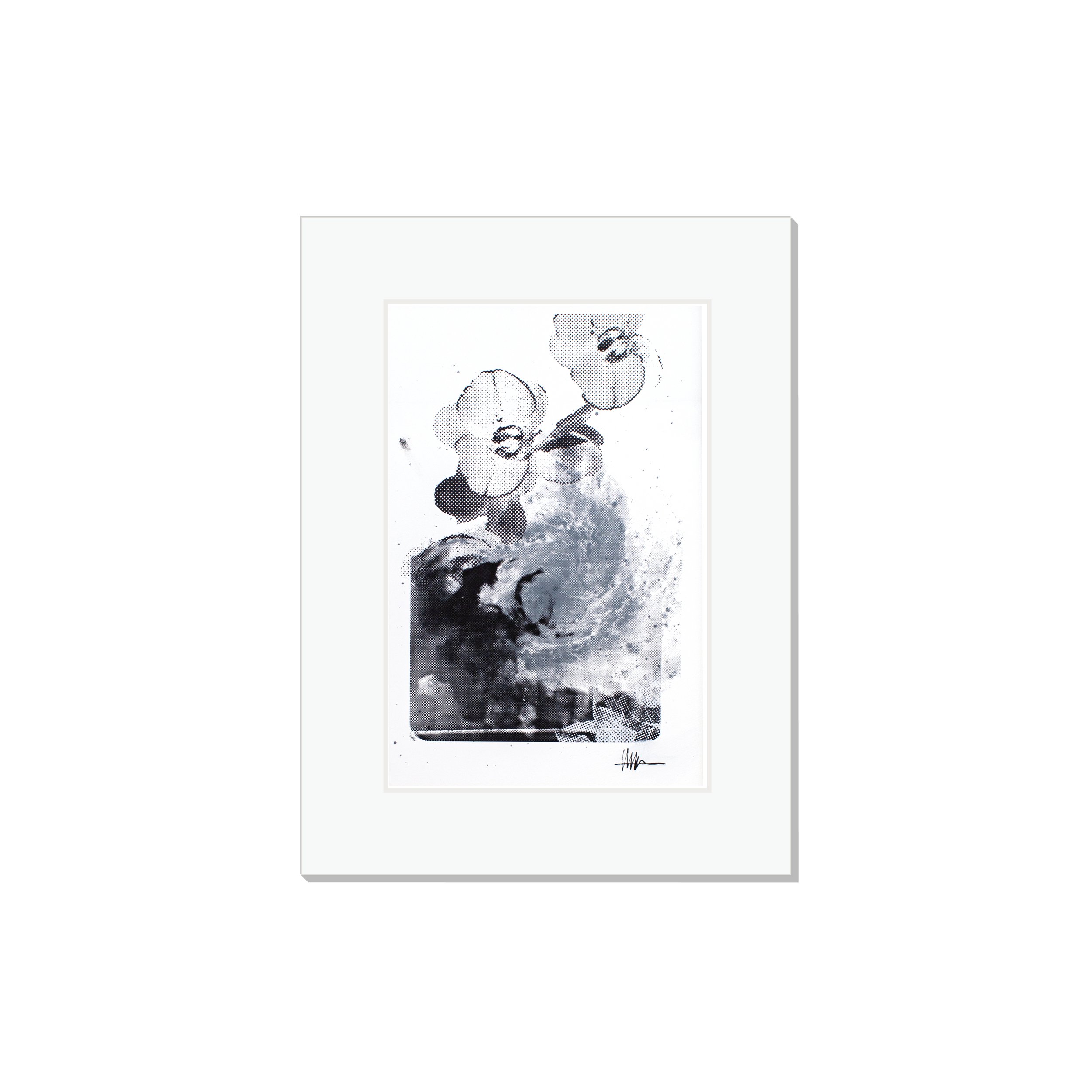 Matted cosmic art print halftoned X-ray M83 flowers effloresced gallery affordable spiral nature