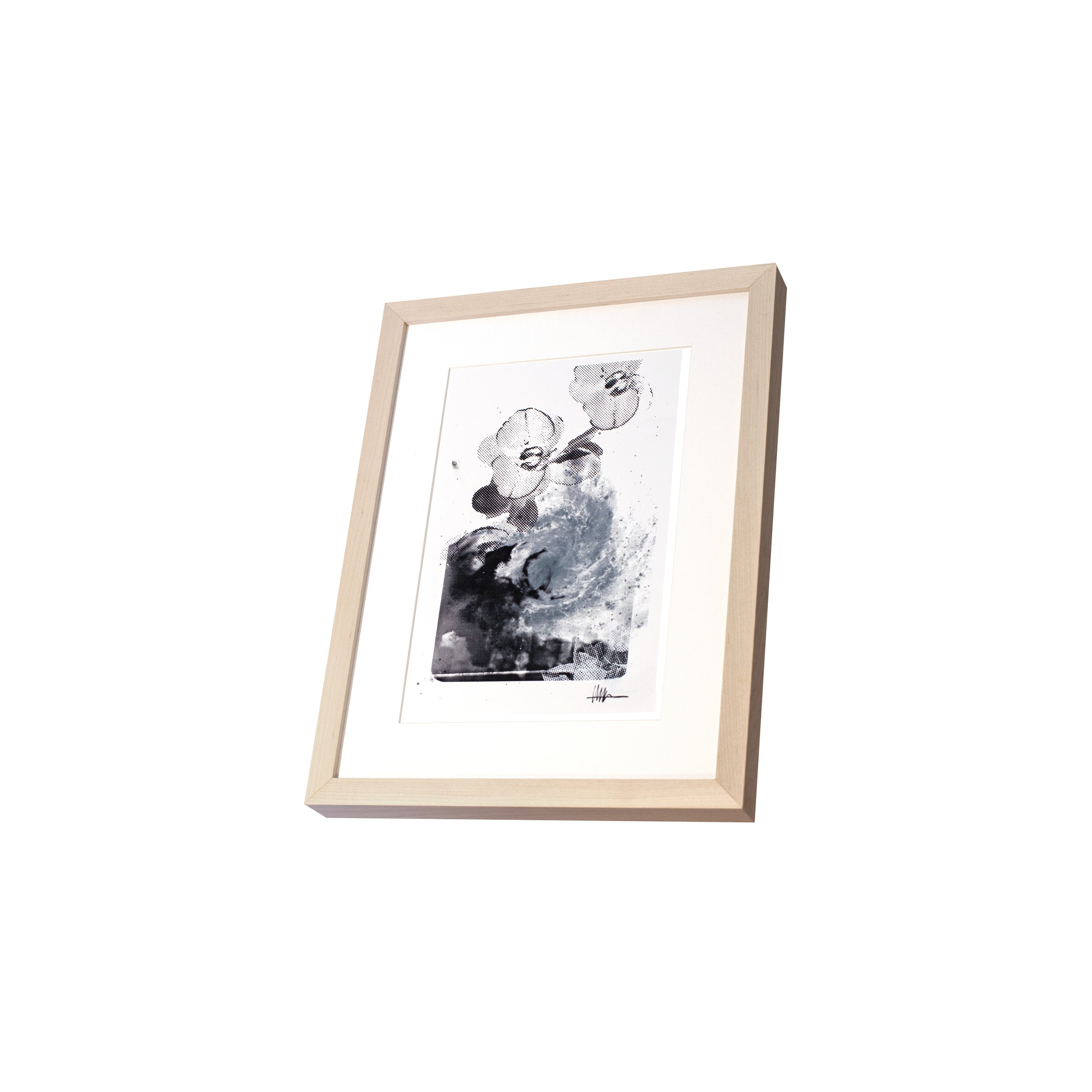 Perspective framed floral art maple frame halftoned X-ray M83 flowers effloresced gallery helical celestial botanical lively