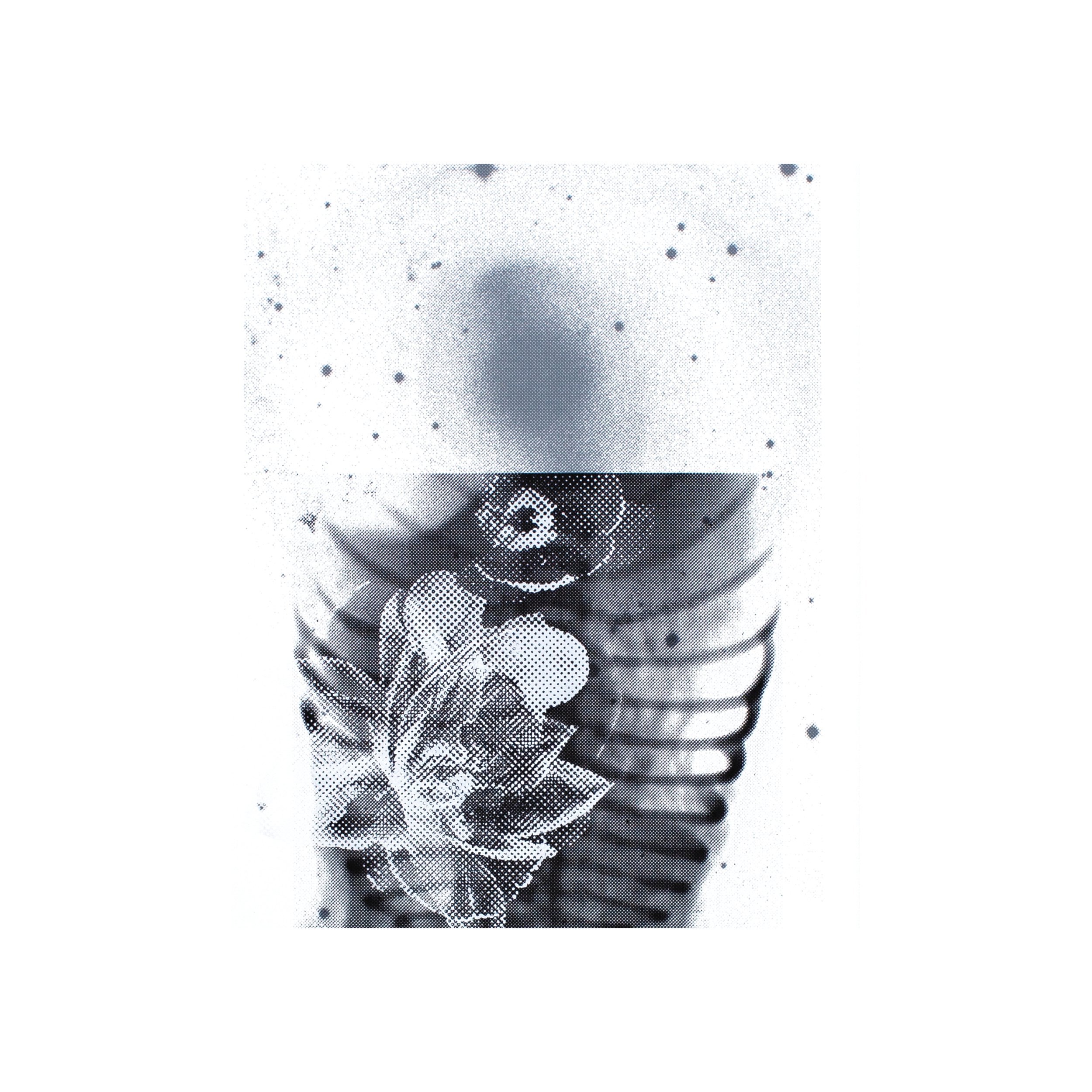 Close-up matted cosmic art print halftoned X-ray NGC 2217 flowers effloresced collapsed nature