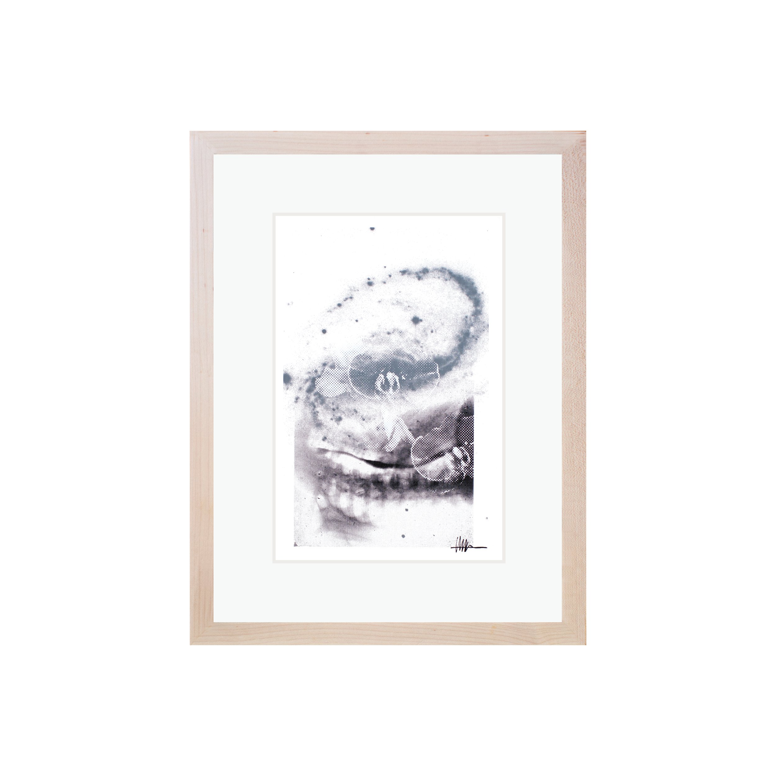 Framed floral art maple frame halftoned mitral X-ray NGC 7479 flowers effloresced gallery rhythmic barred botanical flowing