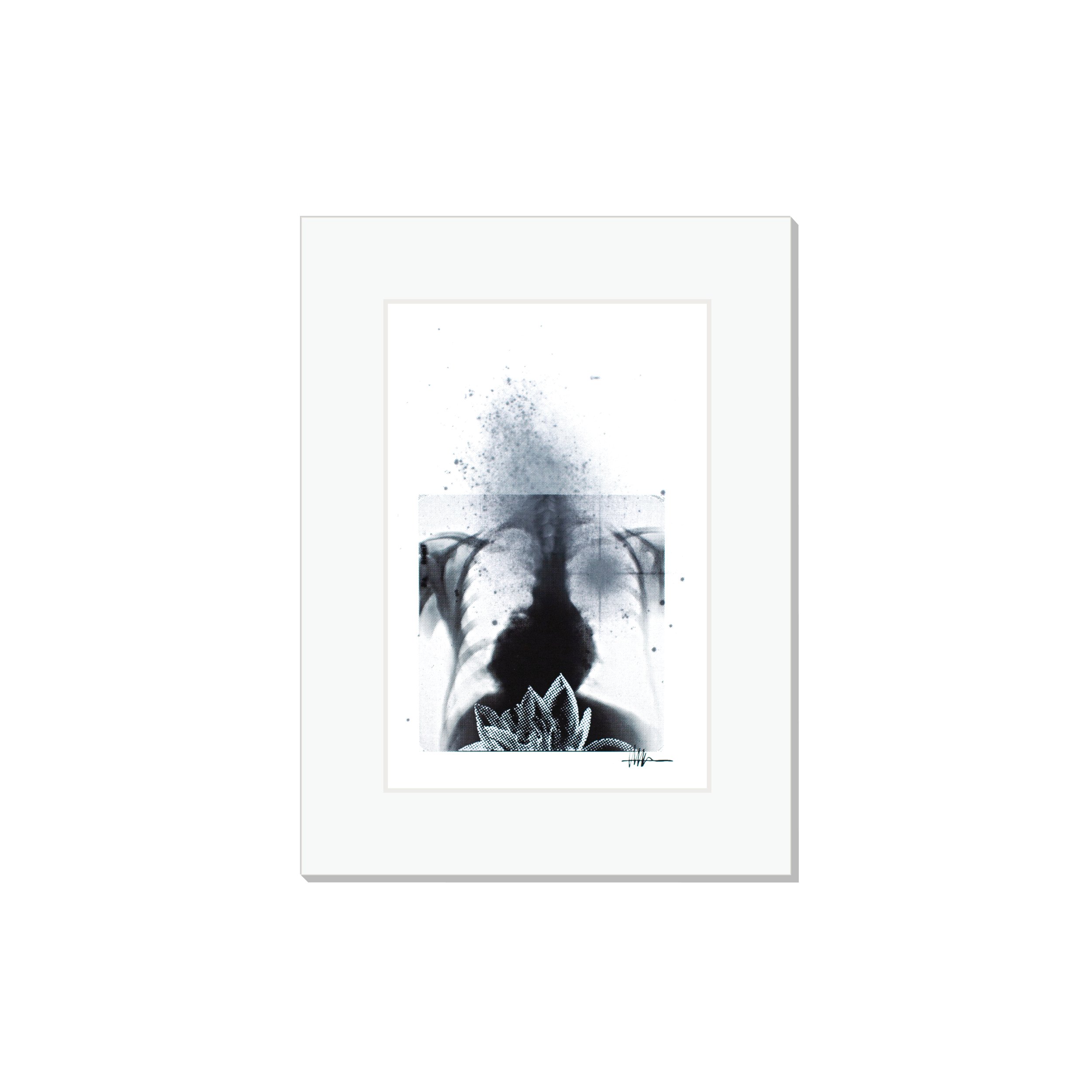 Matted cosmic art print halftoned heart X-ray IC 5152 flowers effloresced gallery affordable chaotic nature