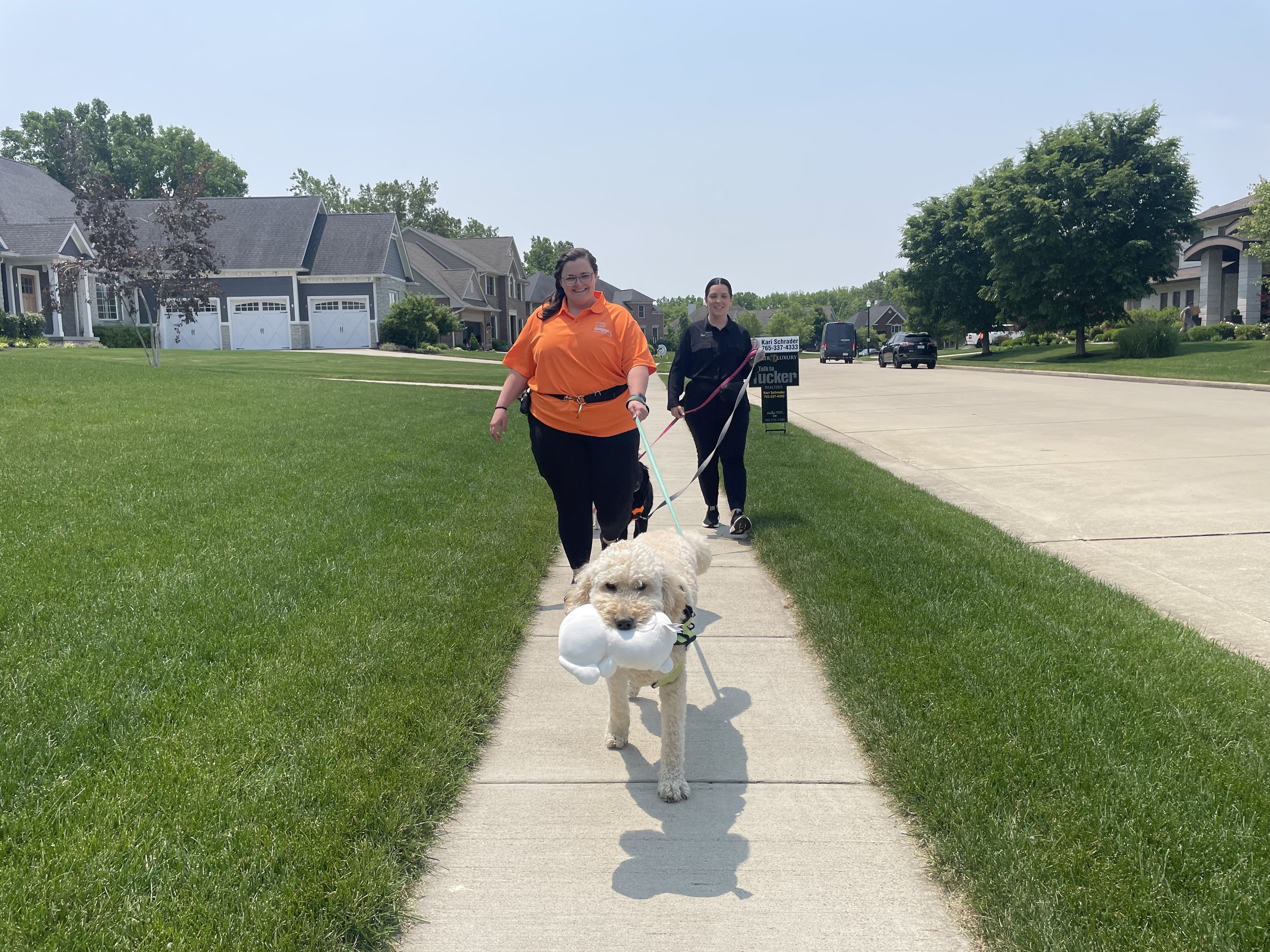Walking 1.jpg