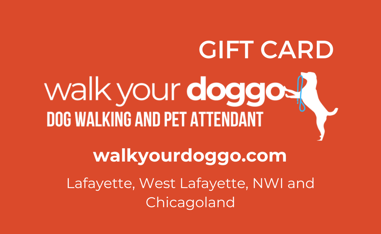 A promotional gift card for 'Walk Your Doggo,' a dog walking and pet attendant service. The card is orange with white and blue text and features a white silhouette of a dog holding a leash in its mouth.