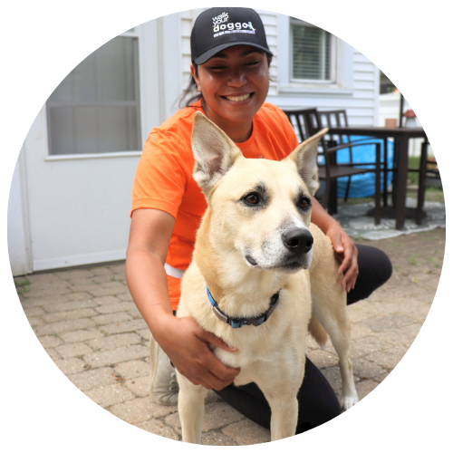 Walk Your Doggo pet caretaker in uniform with a white mixed breed dog.