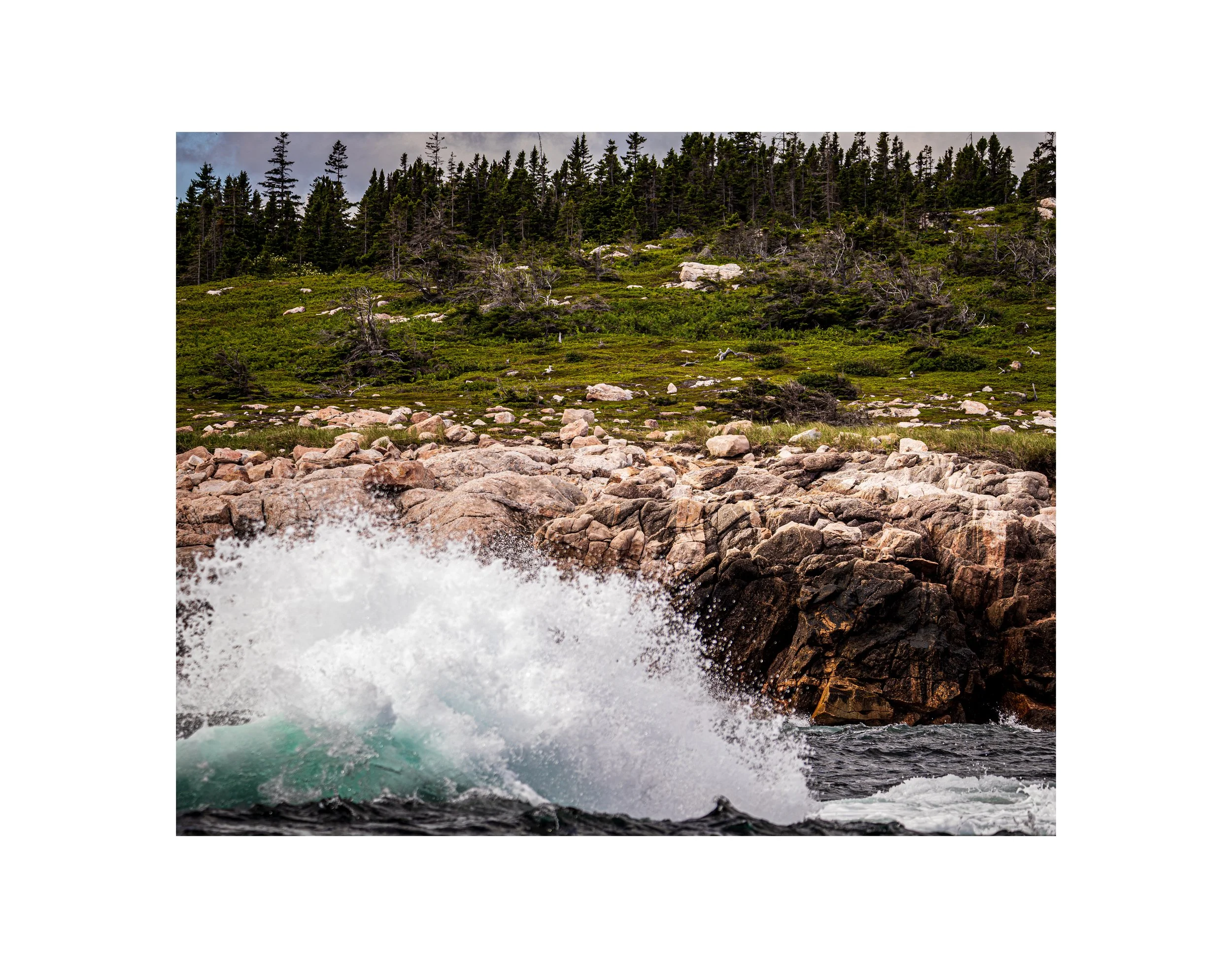 Neils_Wave_PRINT.jpg