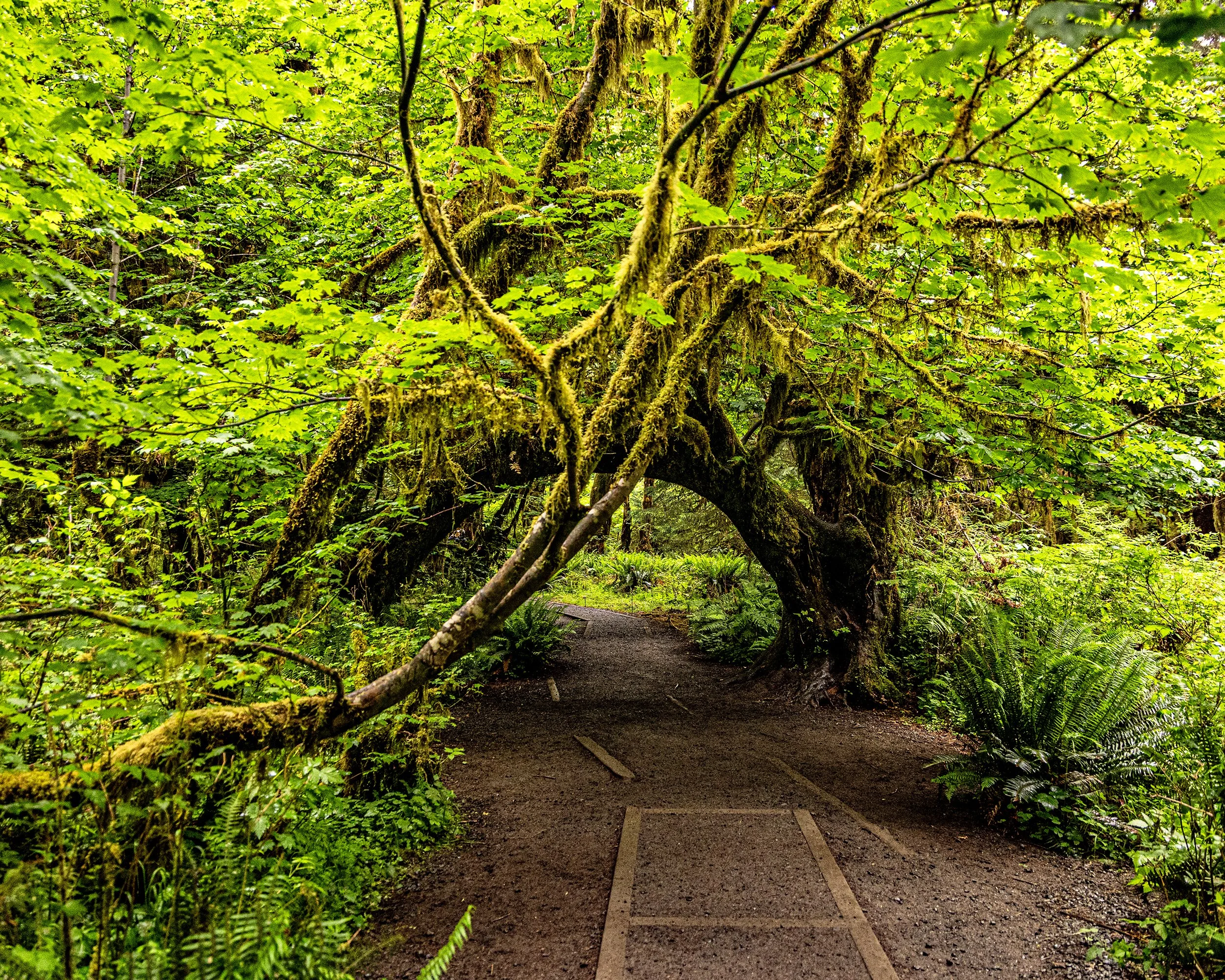 582A6278-R.jpg