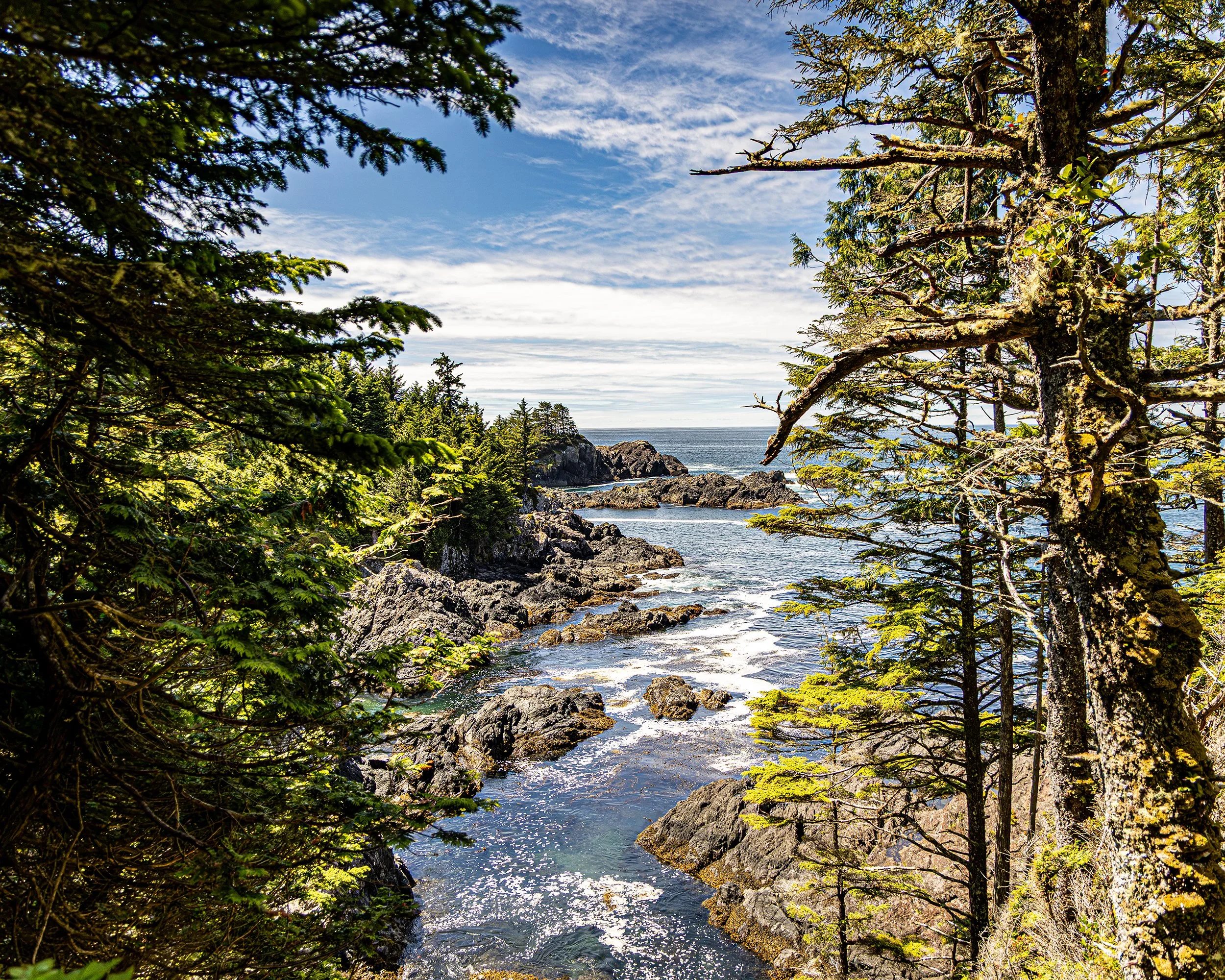 582A7706-R.jpg