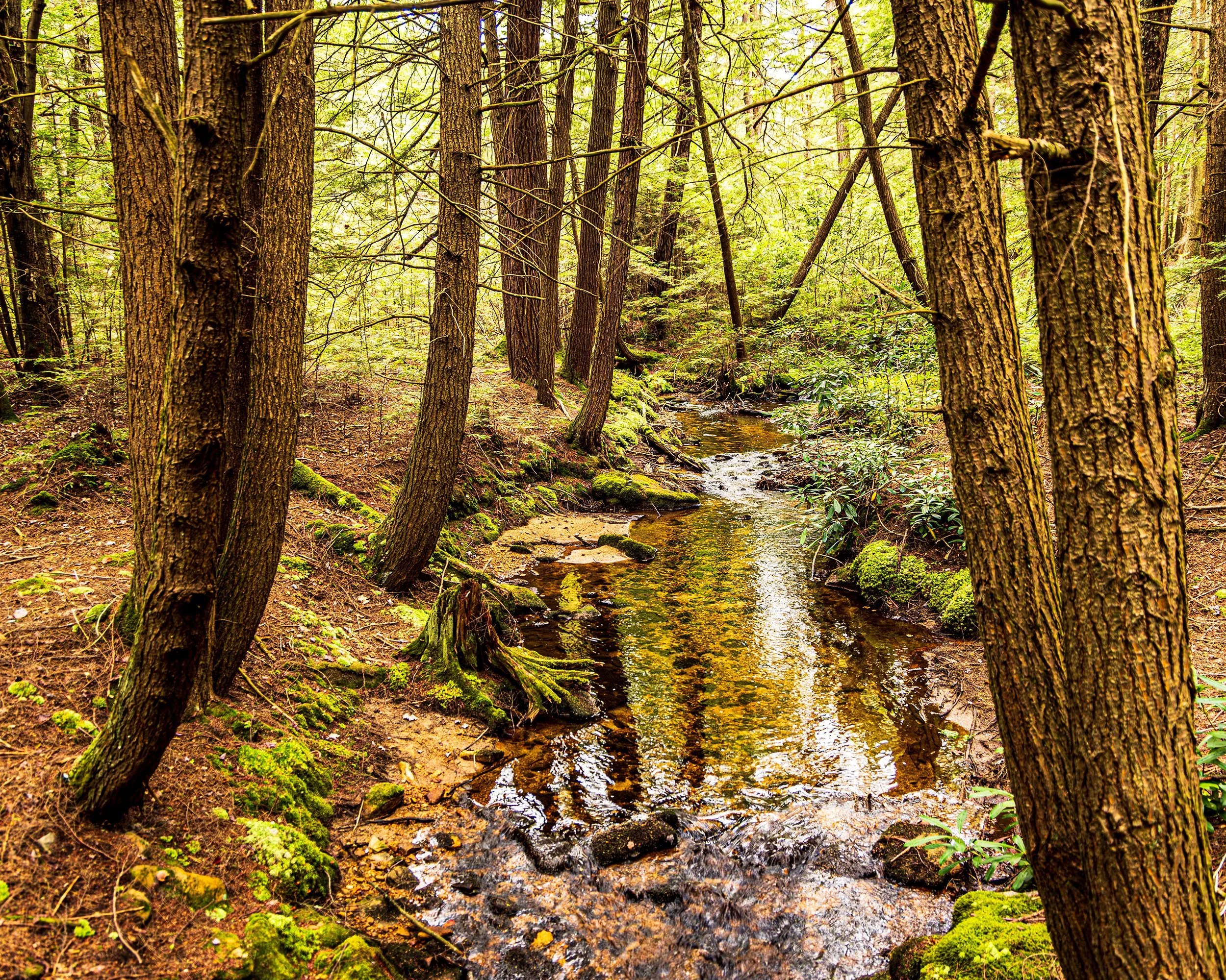 582A5862-web.jpg