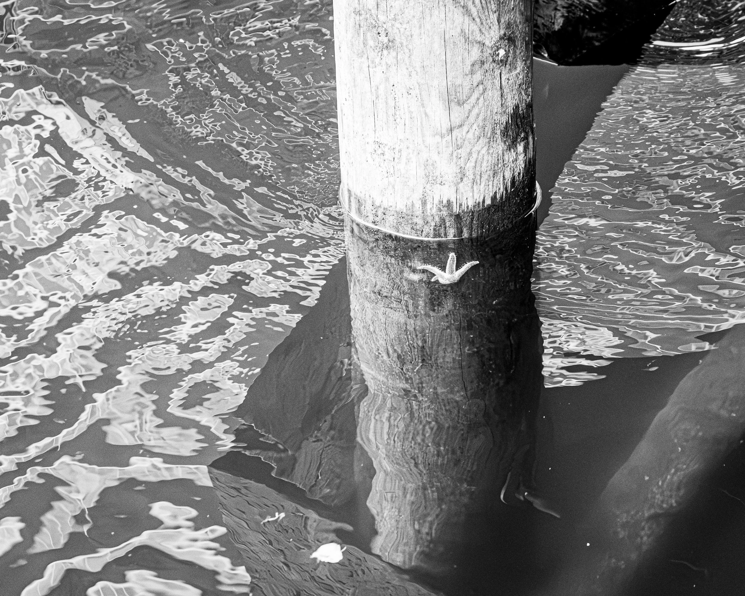 582A9869-2-dc0d66073bf10ec51341c376a55648eb.jpg