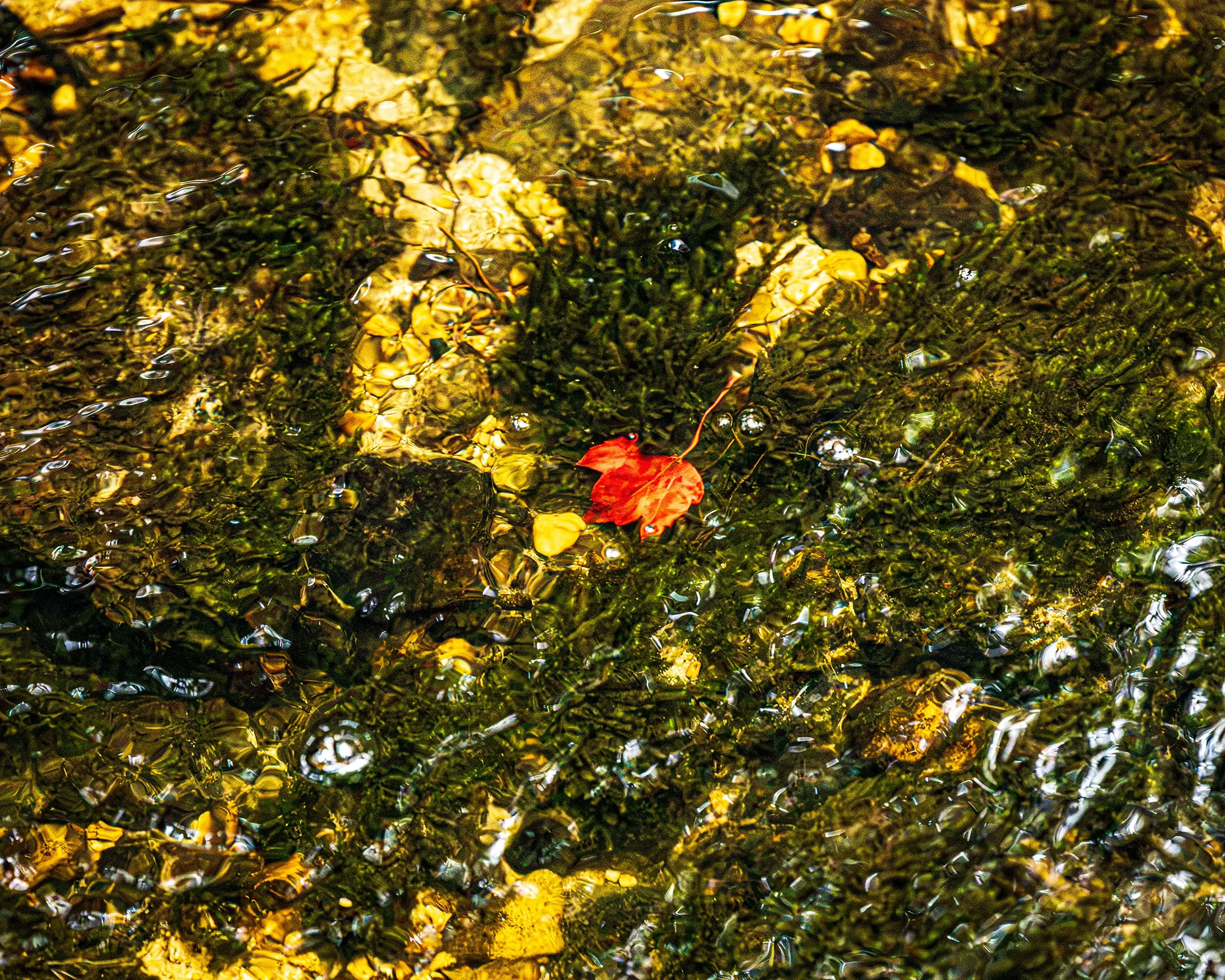 582A6051-web.jpg