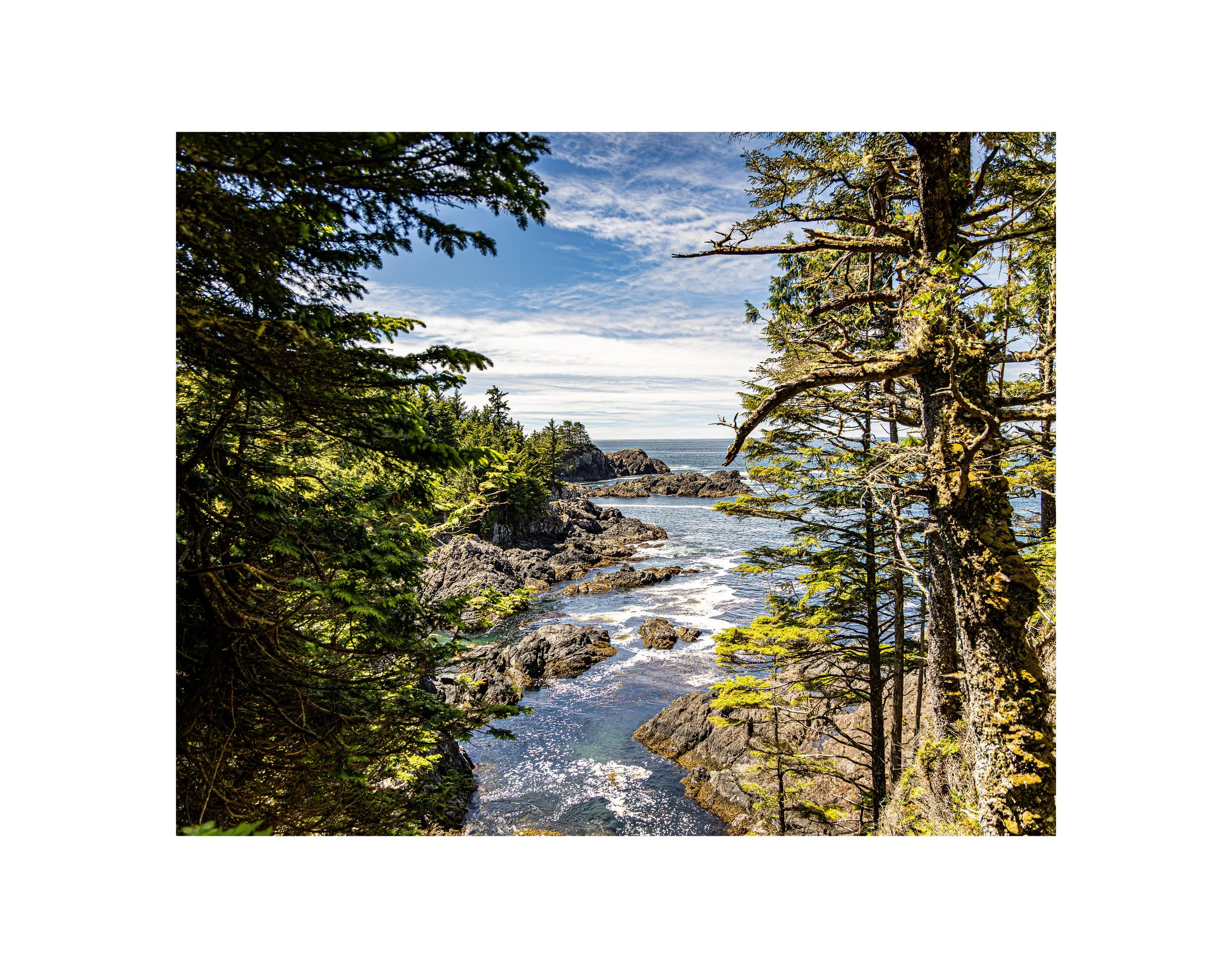 Rocky_Coast_-_Mossy_Frame_PRINT.jpg