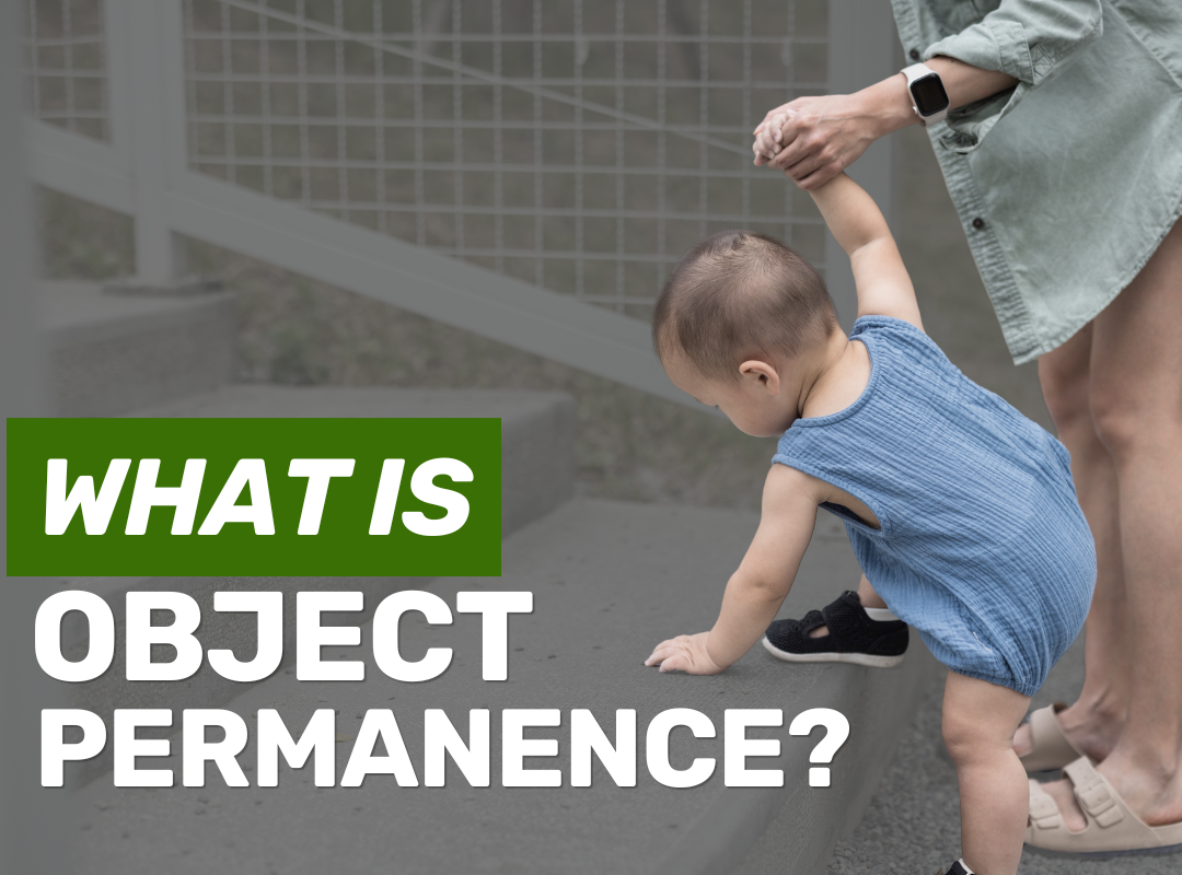 What is Object Permanence?
