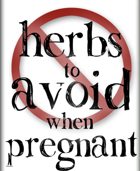 HERBS TO AVOID DURING PREGNANCY