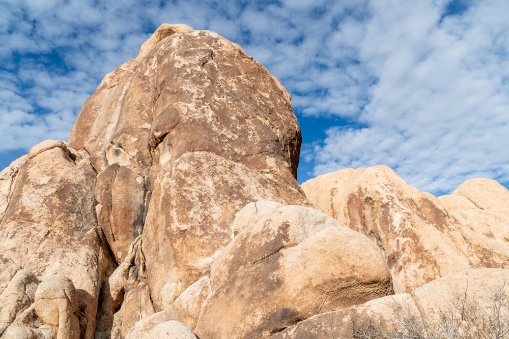 Skyward Ascent of Sunbaked Giants, Joshua Tree, California