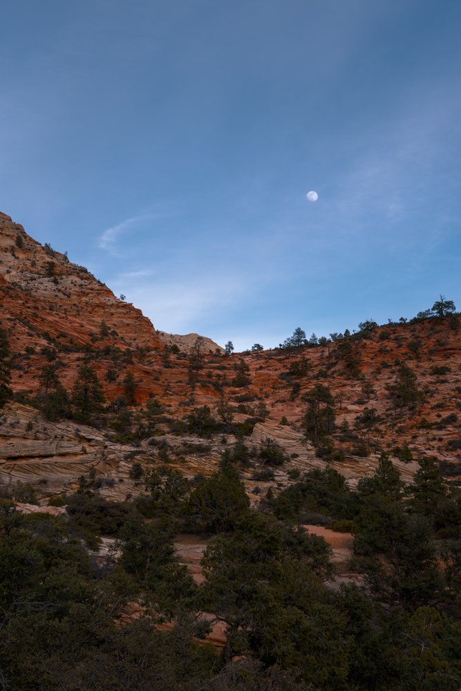 Crimson Dusk in the Canyons, Zion National Park, Utah