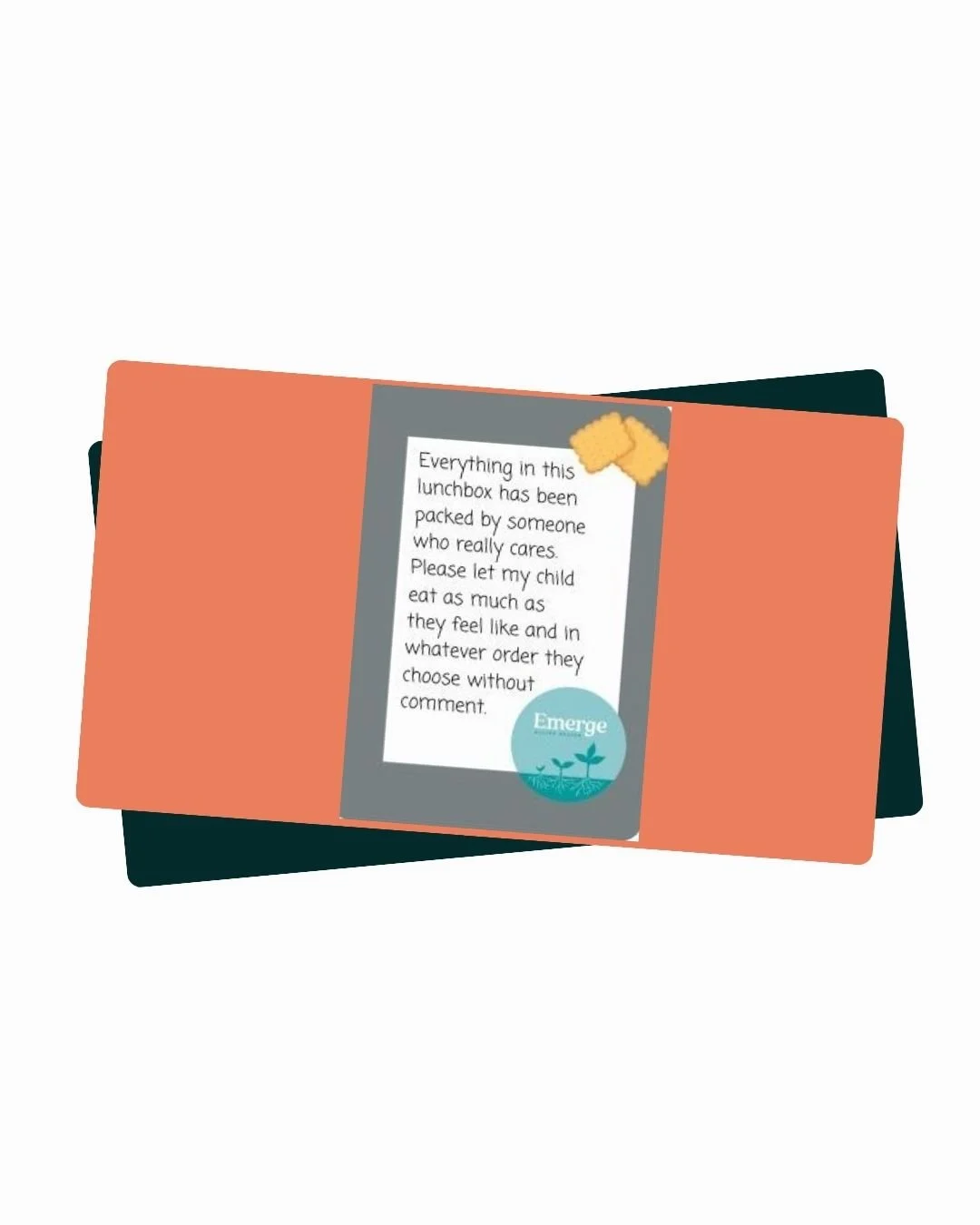 Treehouse Training Website Icons and Images.jpg