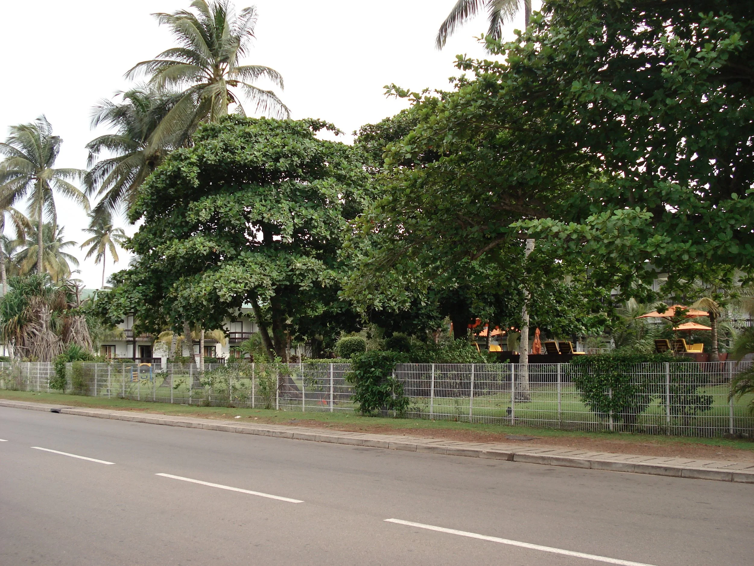 DSC00738.JPG