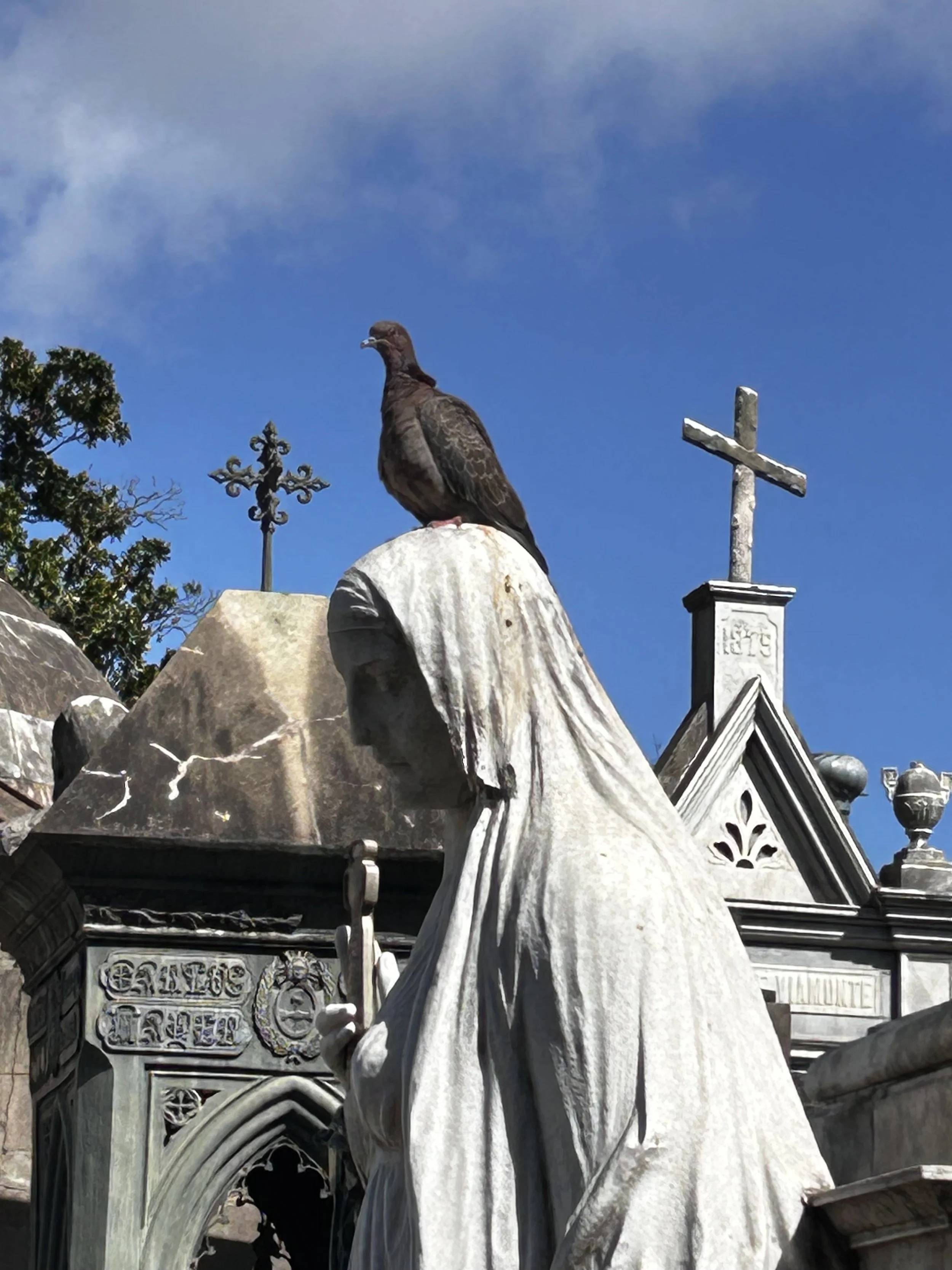 La Recoleta Cemetery in Buenos Aires. And a bird.