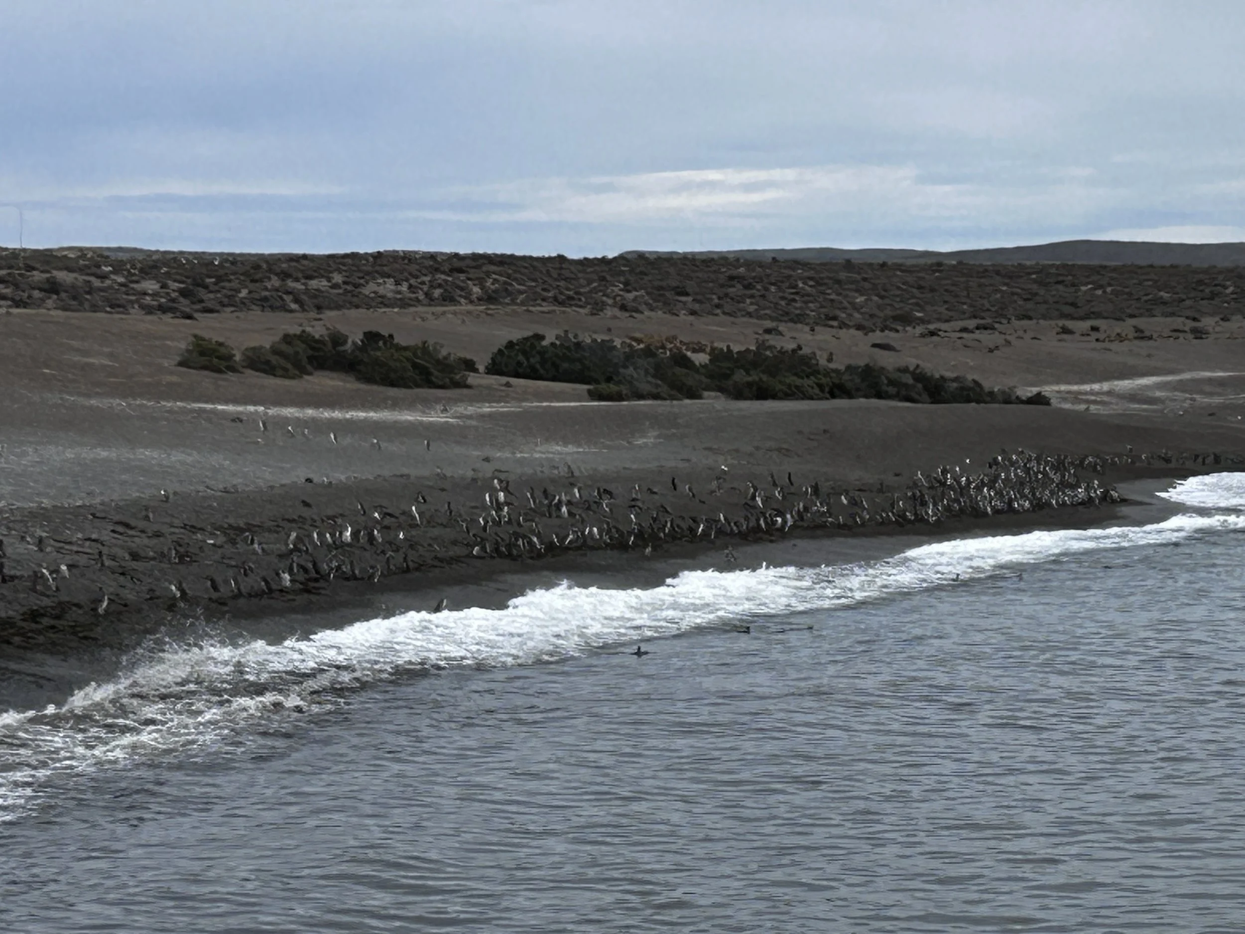 Punta Tombo National Reserve
