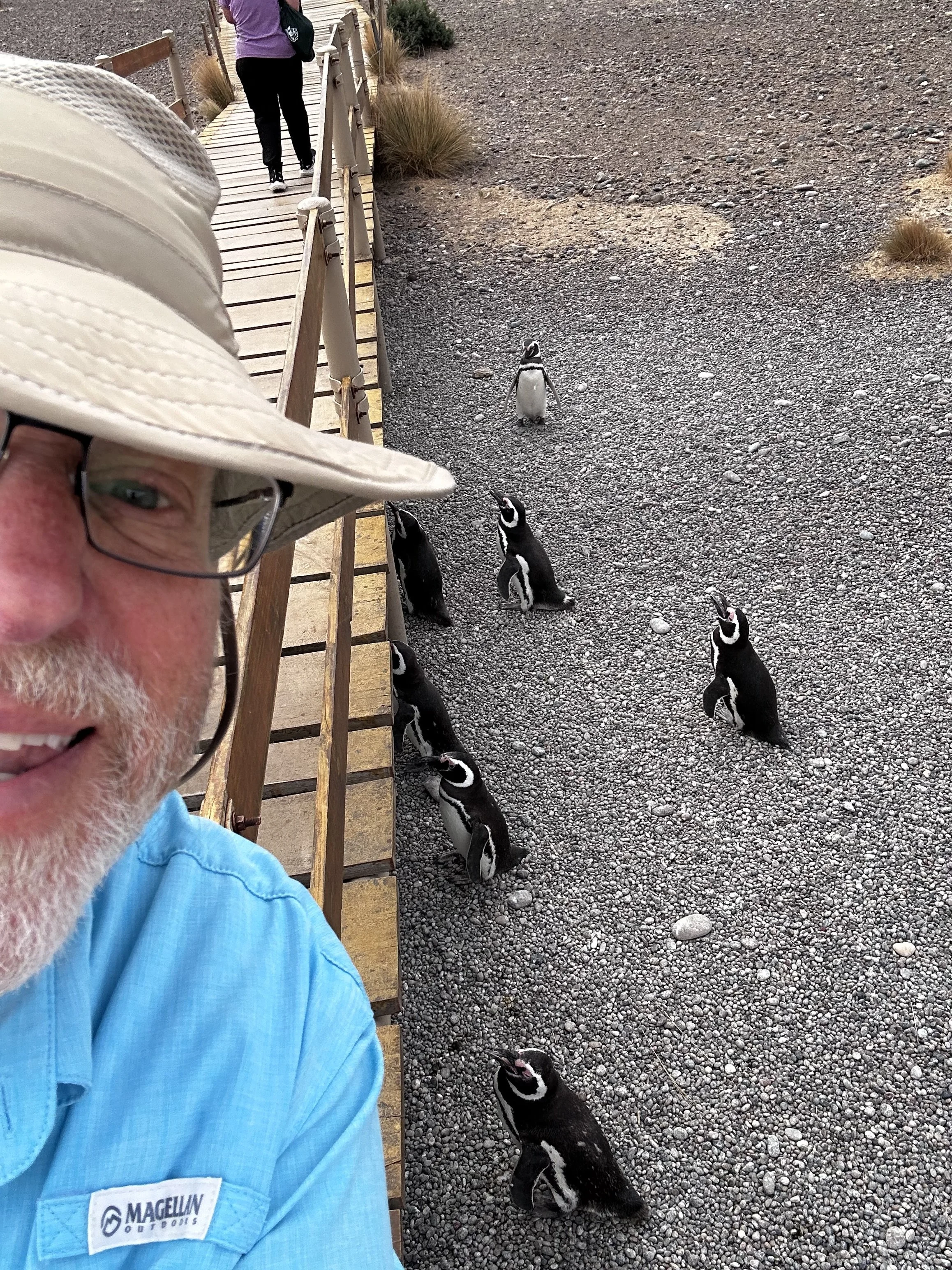 Punta Tombo National Reserve