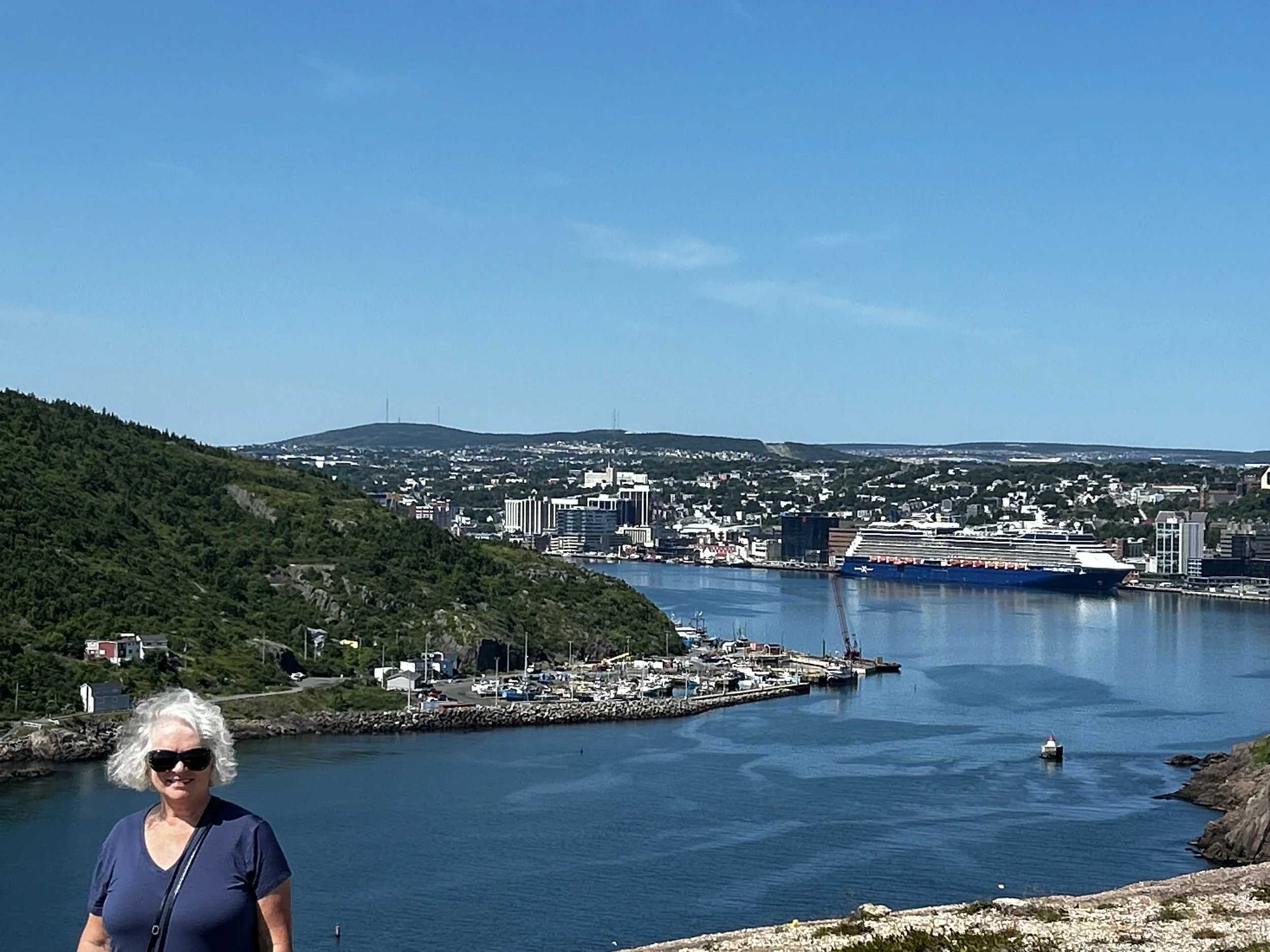 St. Johns - Walking down from SIgnal Hill (Copy)