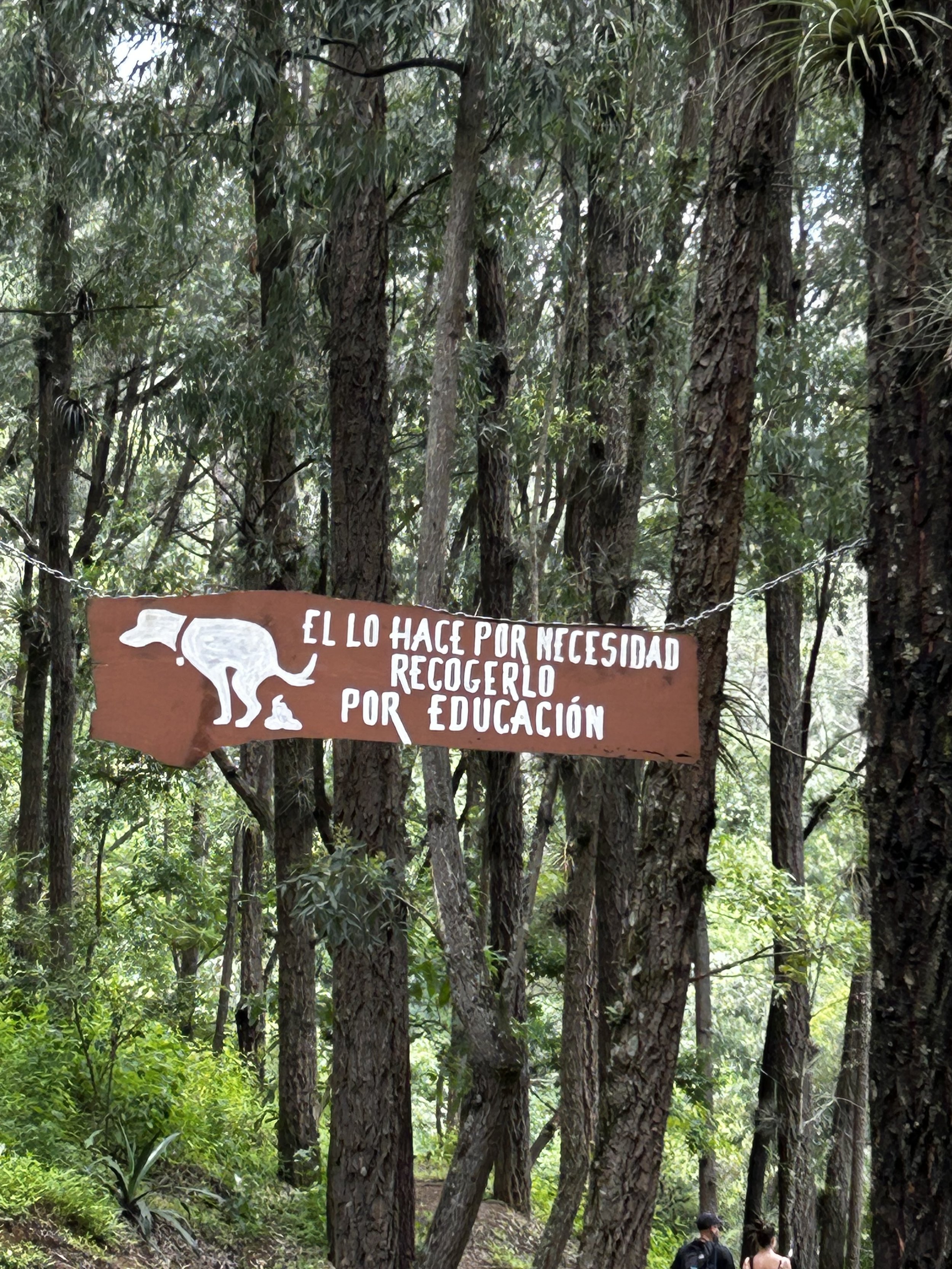 No need to translate!