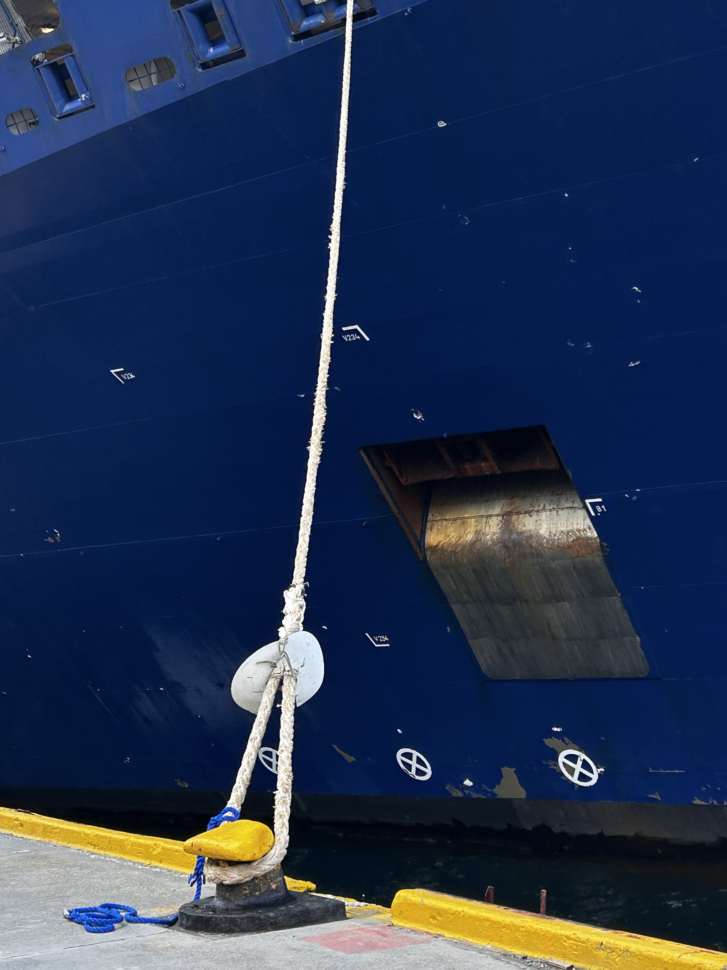 Disk on rope keeps rats from running up rope and boarding ship!