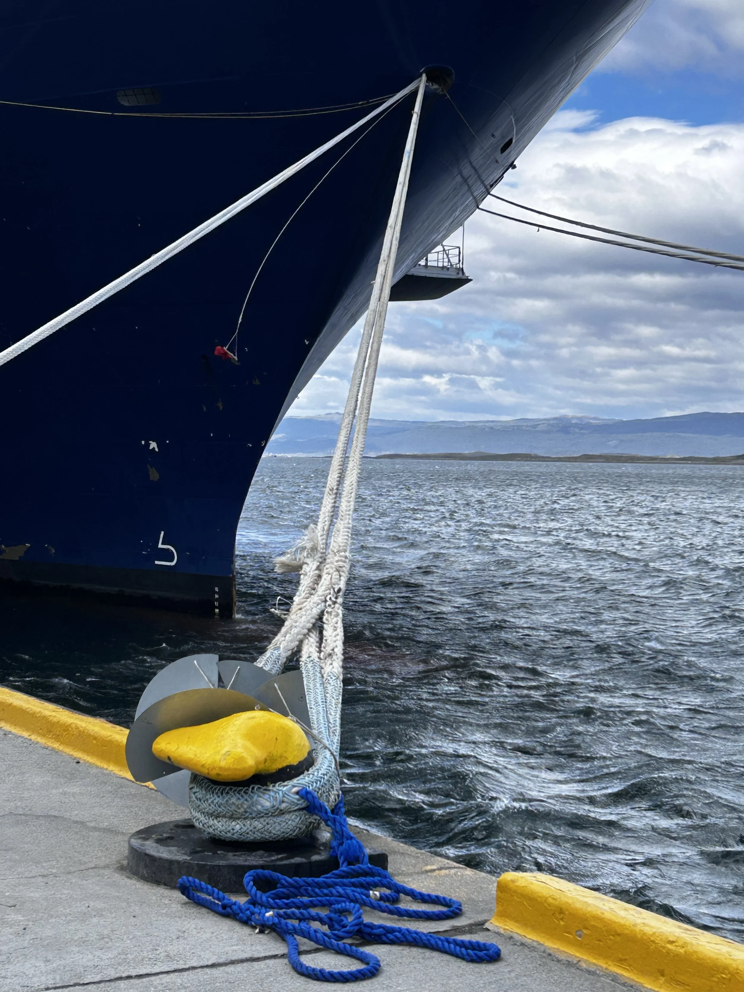 Improperly installed rat-proof disk. Installed on only one side of the loop?!