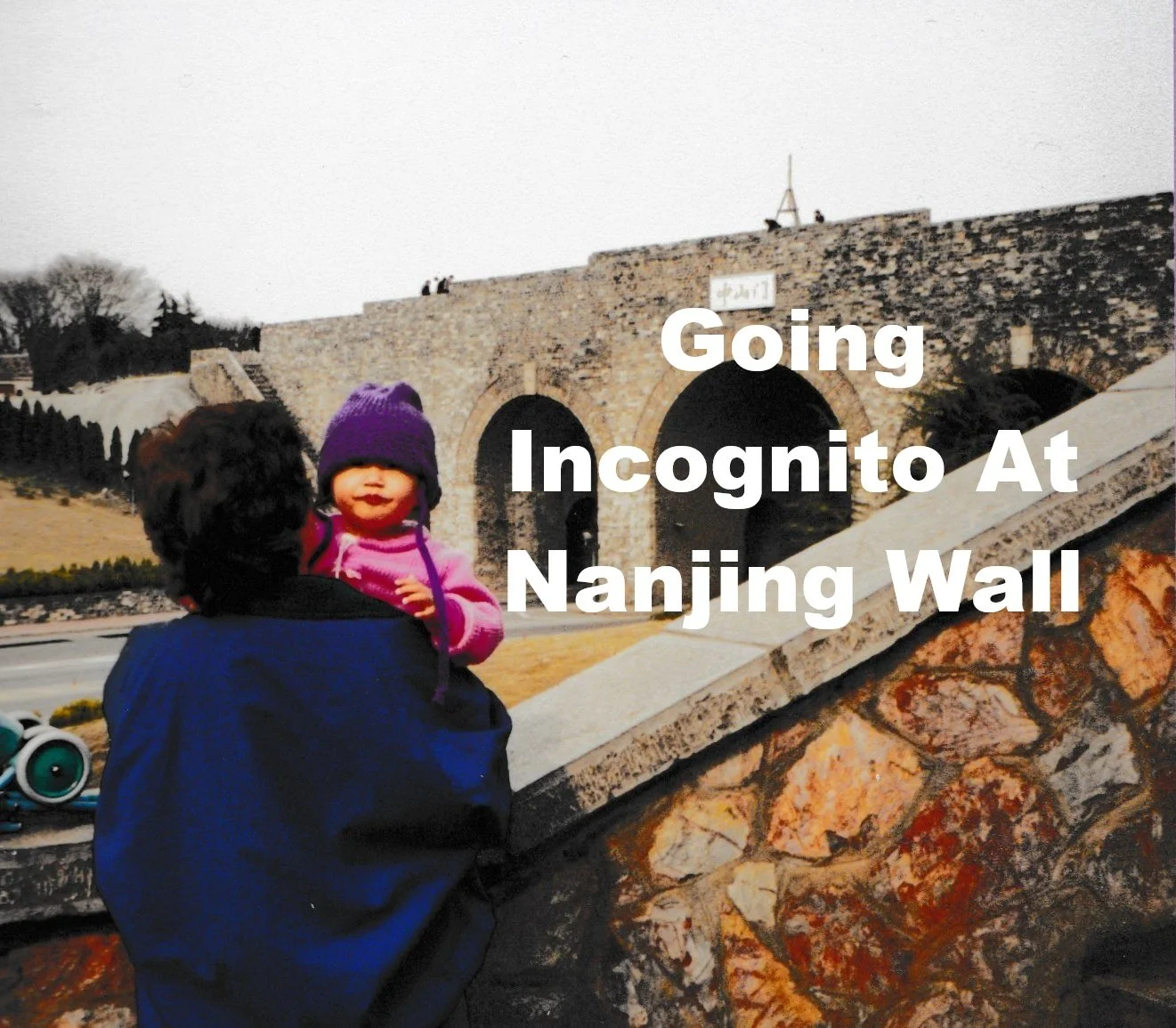 Nanjing Wall.jpg