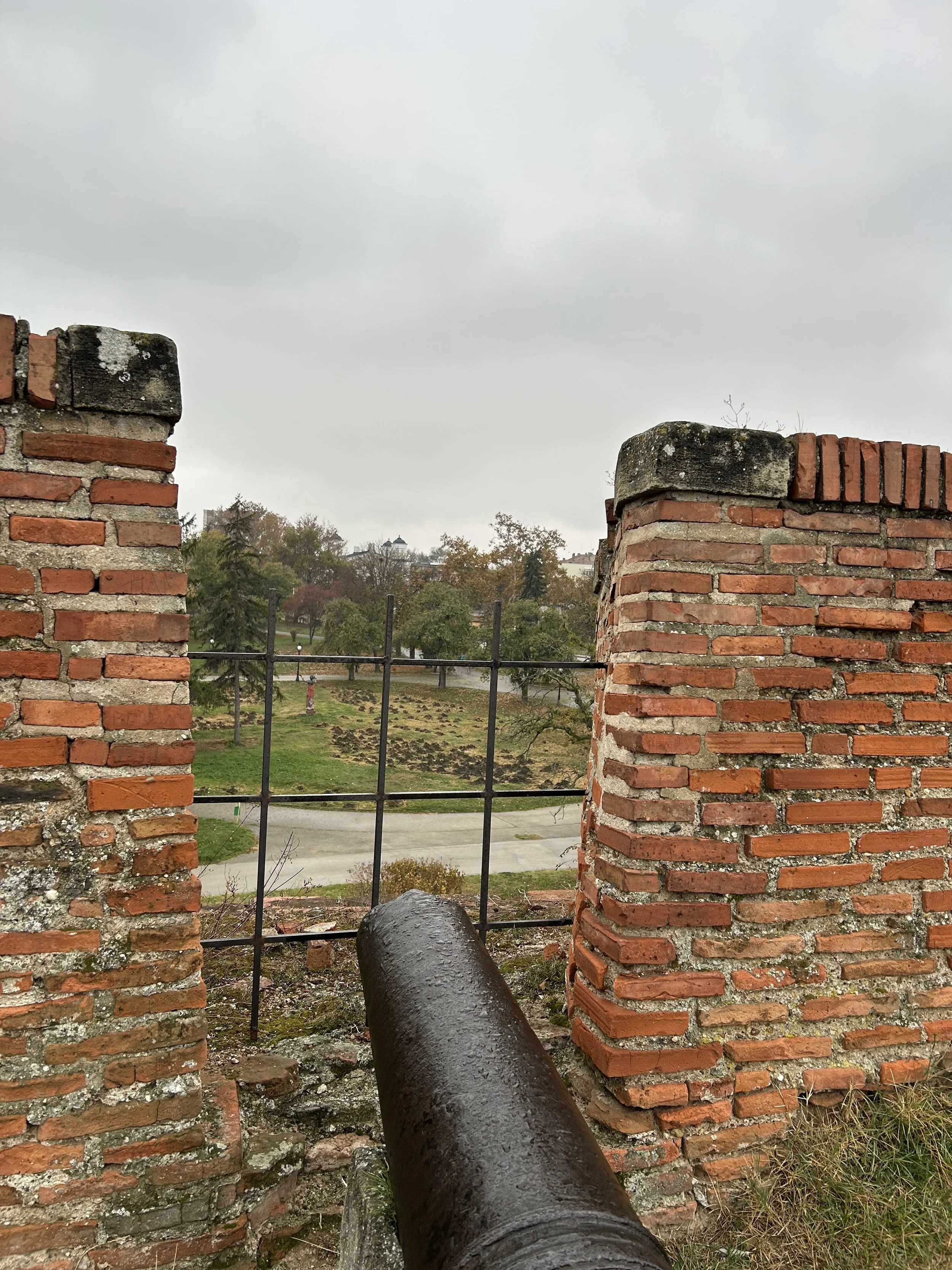 IMG_1311.jpeg