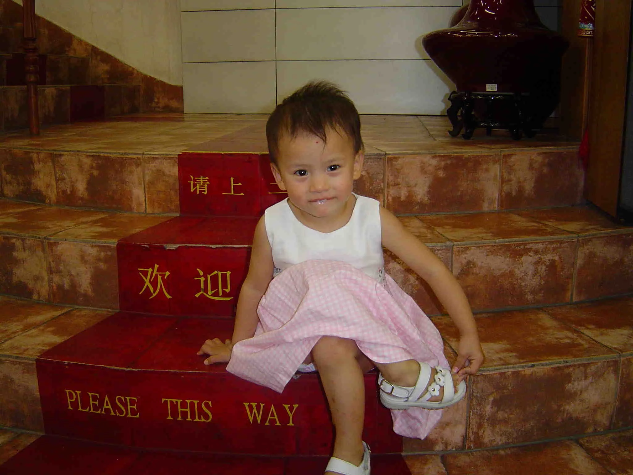 Lily on Stairs.JPG