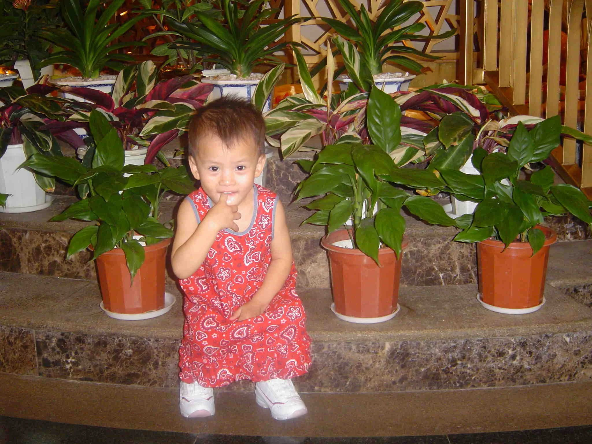 Lily3.JPG