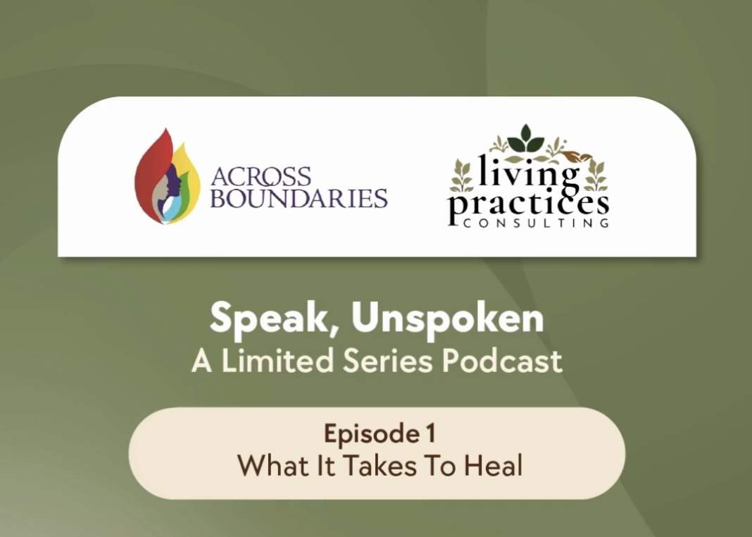 Episode 1: What It Takes to Heal with Prentis Hemphill episode artwork