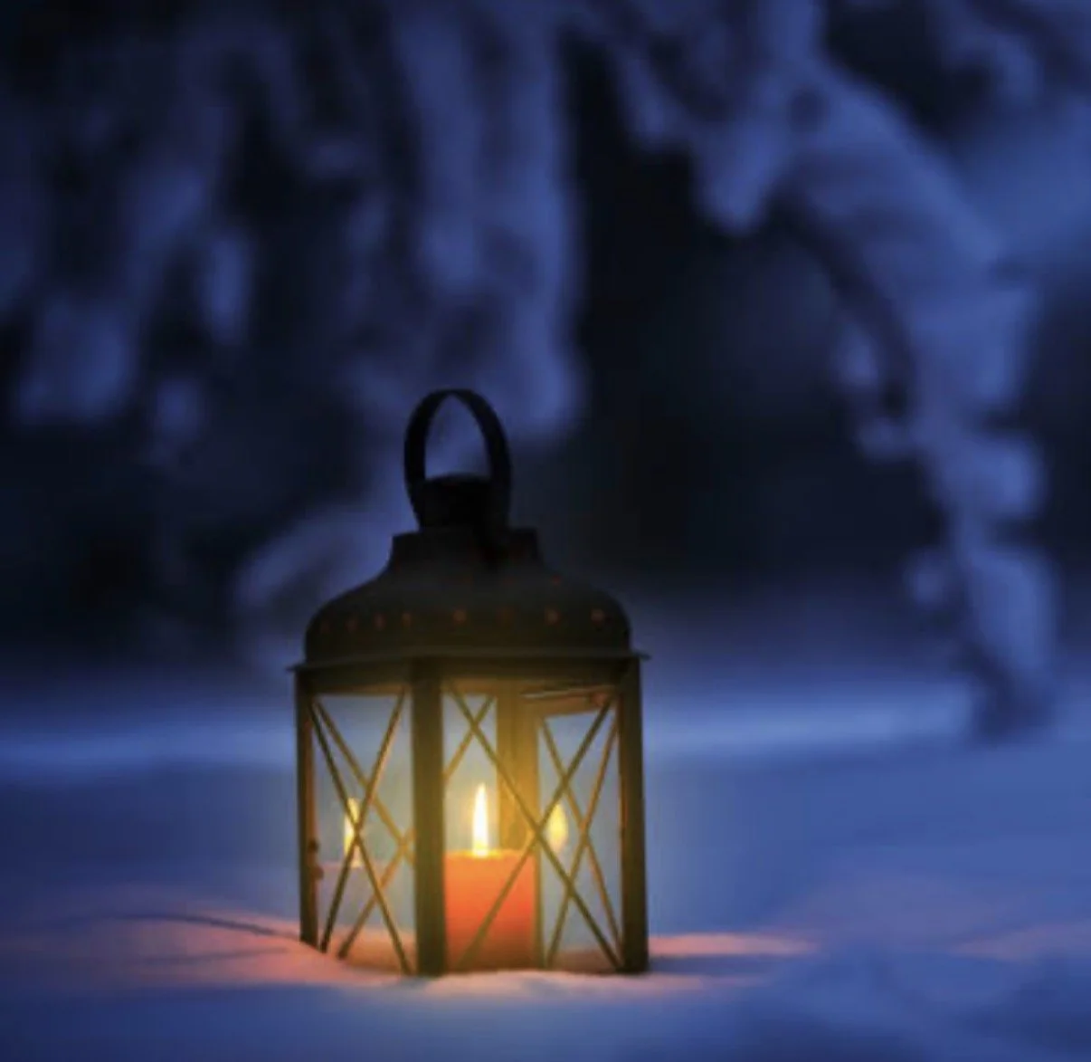 Feb 1:  Free Soma Community Meditation on Insight Timer at 8 PM