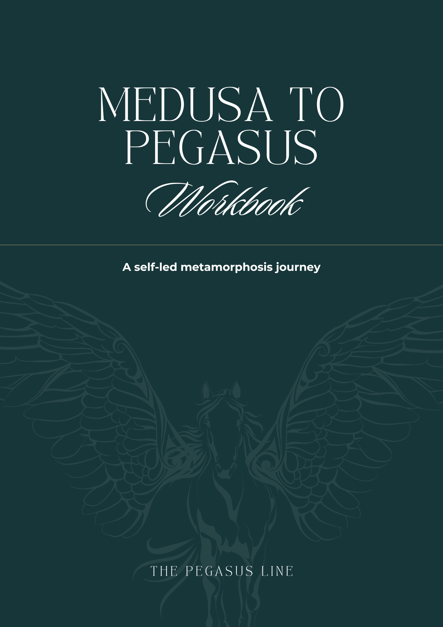 Workbook cover.png