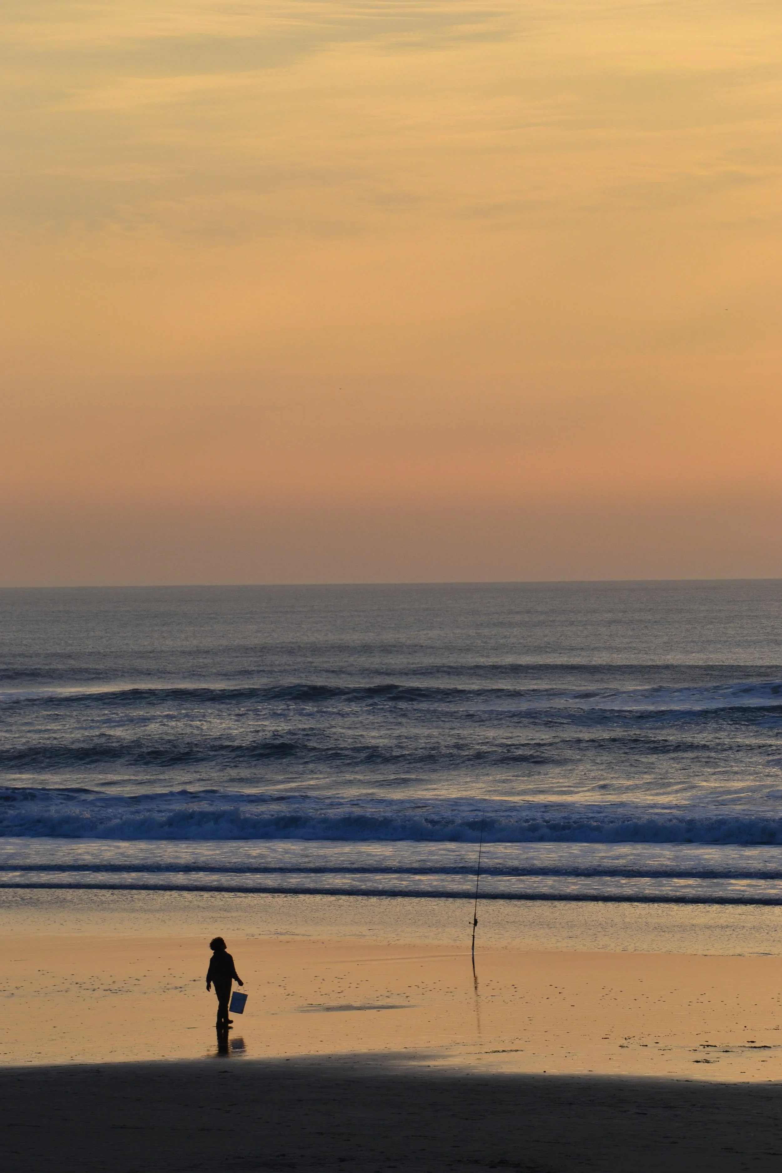 DSC_1129 copy.JPG