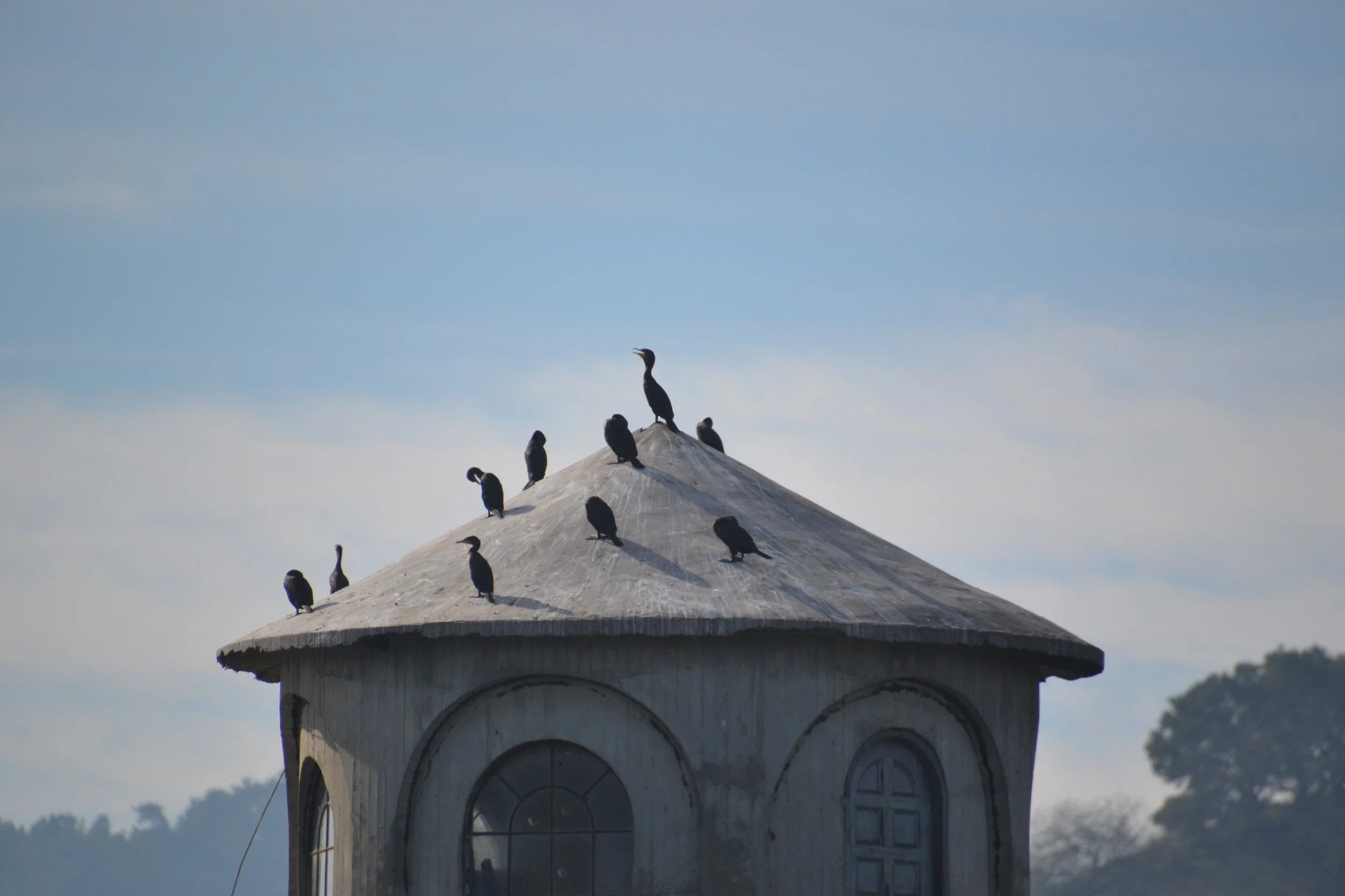 DSC_1032.JPG