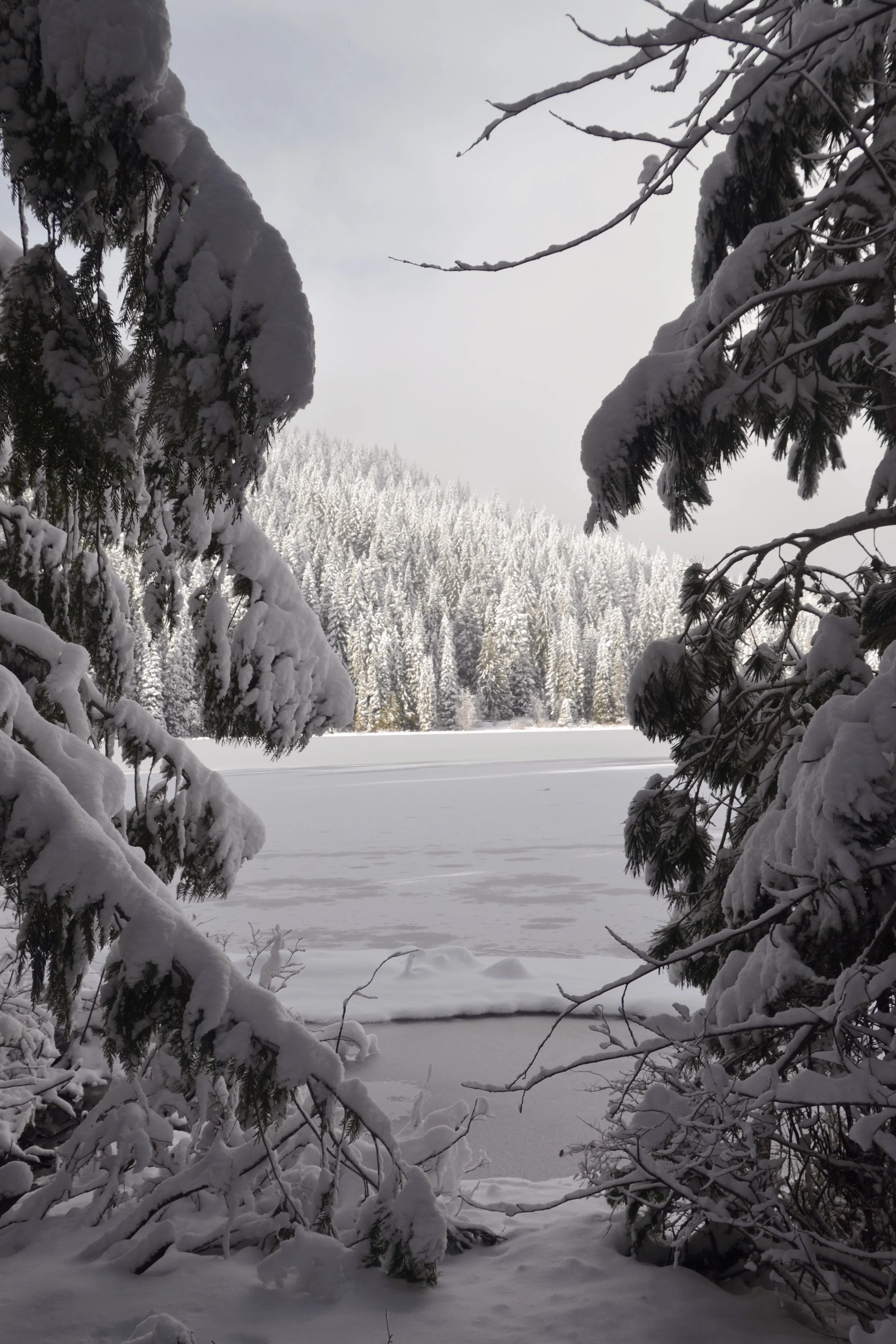 Trillium Lake.jpeg