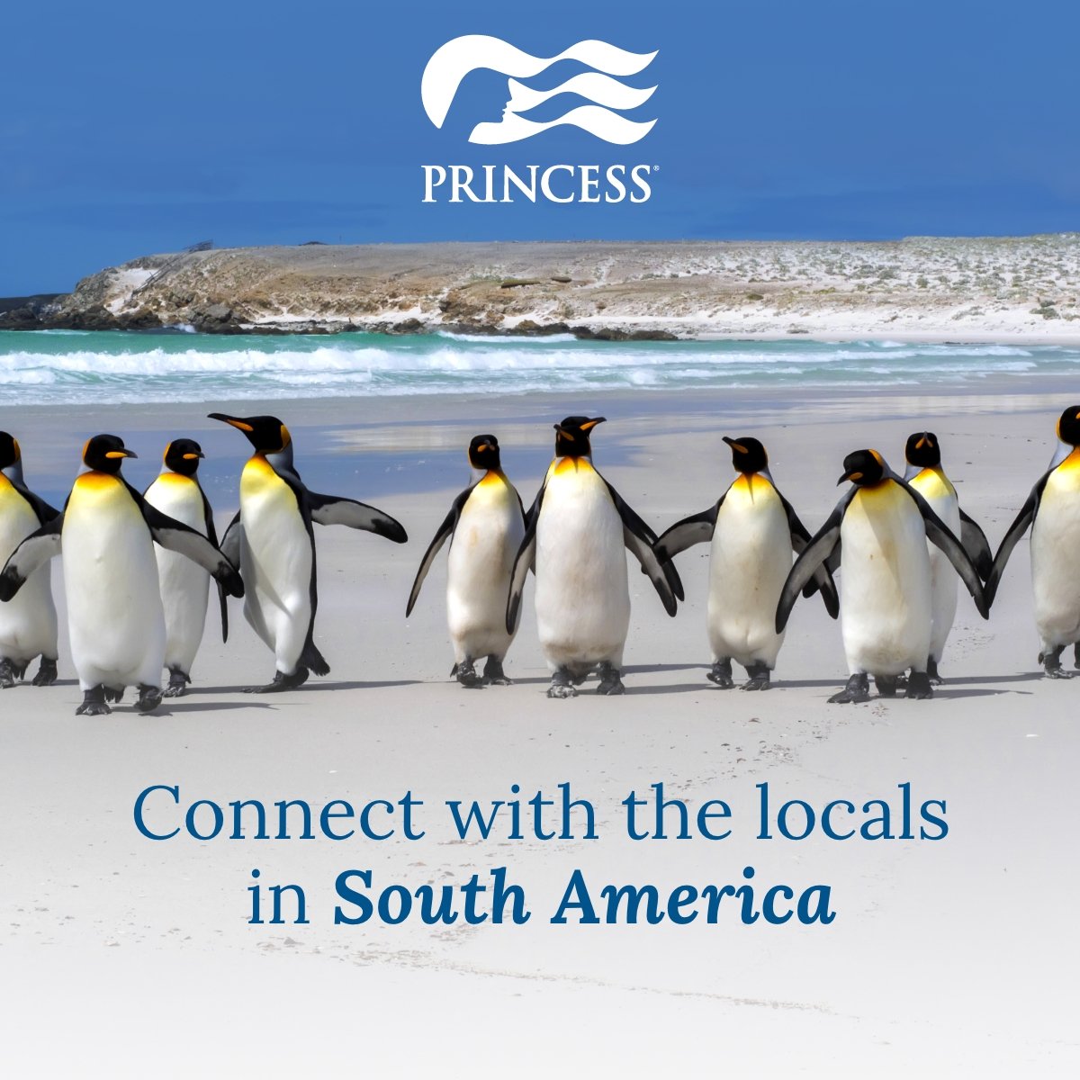 South America - Linked in D 1200x1200.jpg