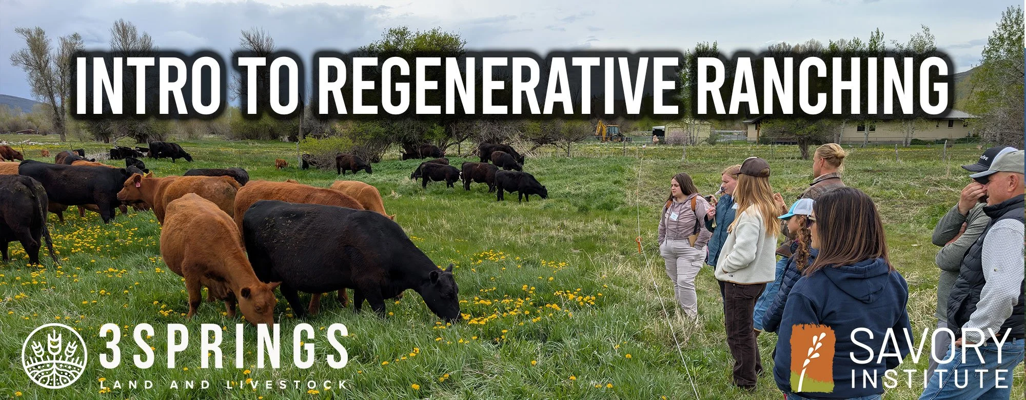 3 Springs Land and Livestock photo 4