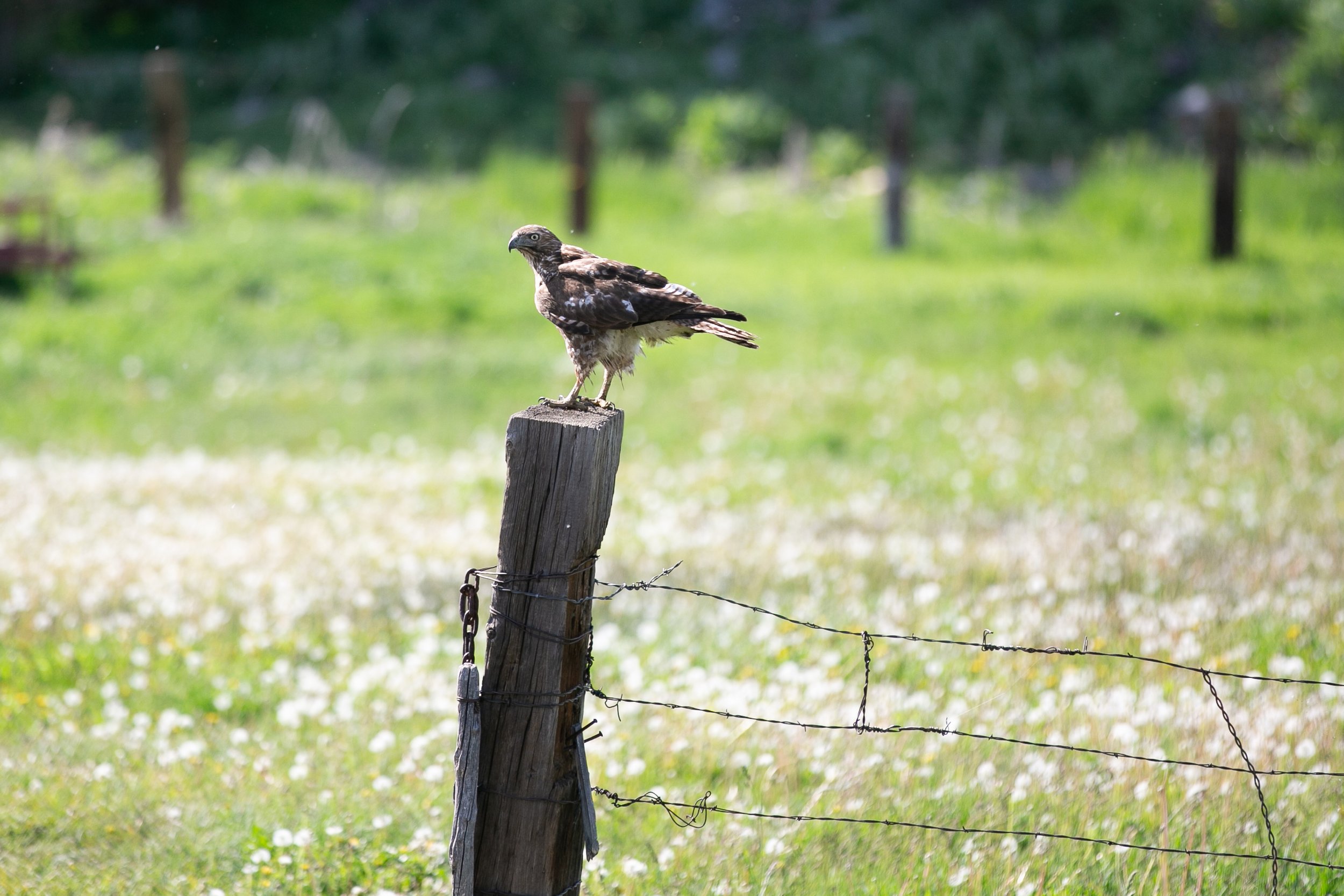 3 Springs Land and Livestock photo 2